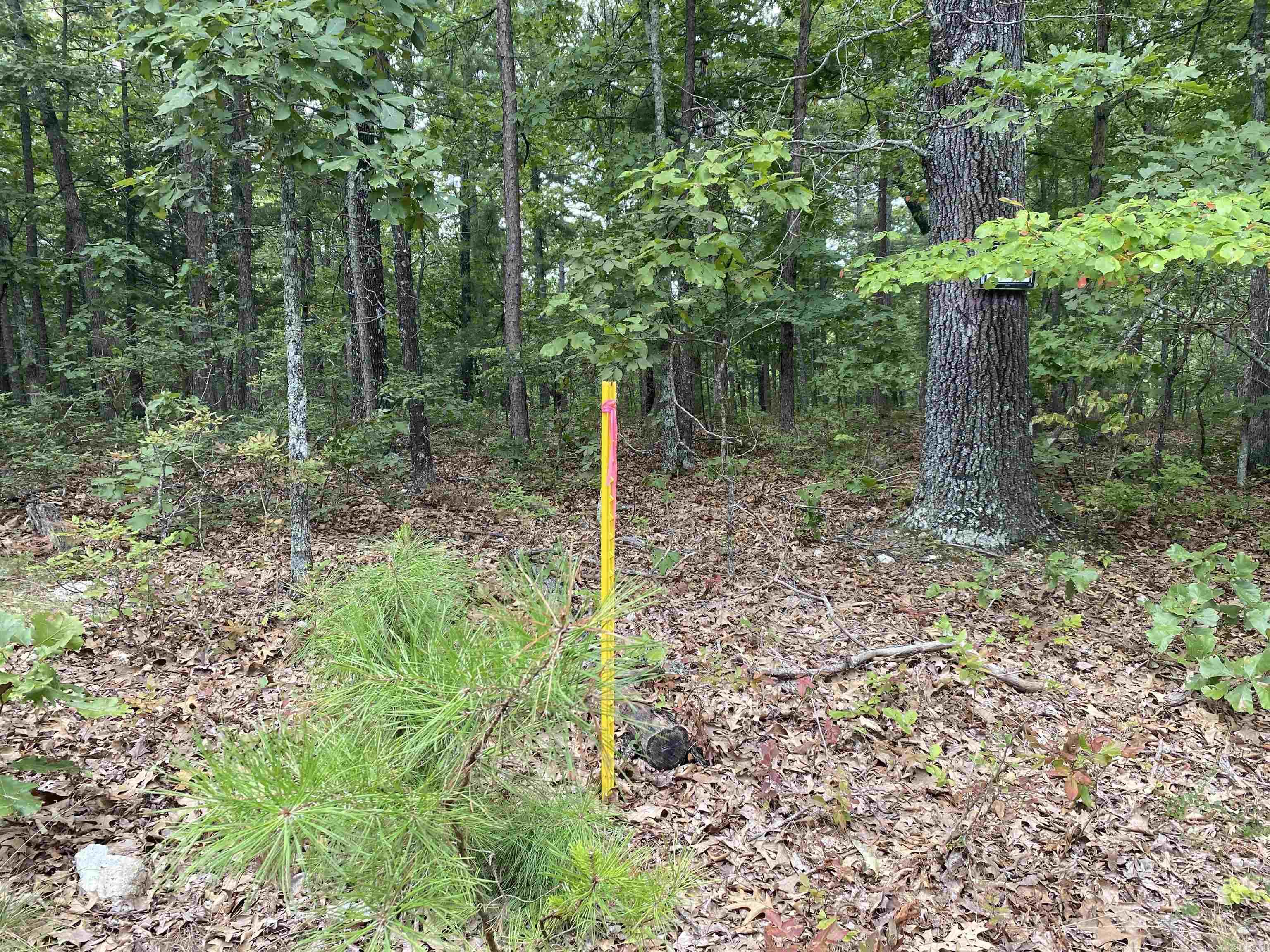 Not in Subdivision - Land