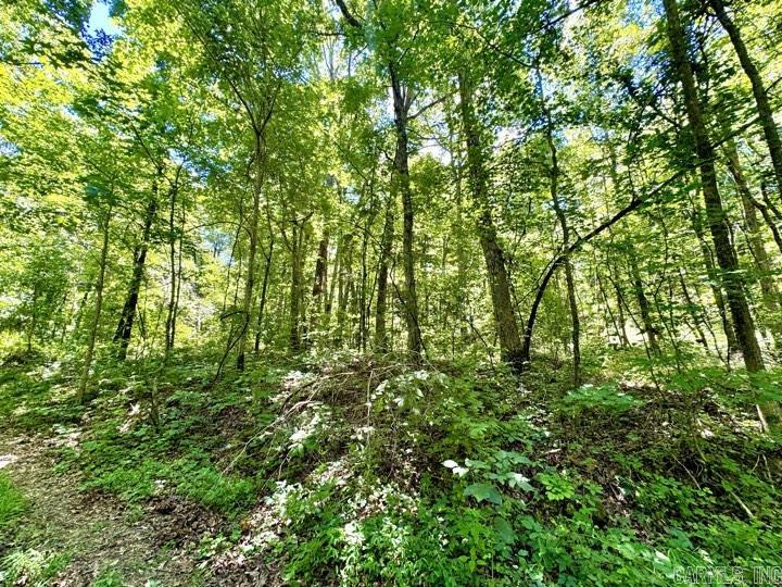 Discover the perfect getaway on this 9.39-acre wooded property. Nestled in nature, this sloped land offers potential for stunning views once cleared. With a few flat spots ideal for building a home, it's a versatile piece of land waiting for your vision. Whether you're a hunter looking for your next adventure or someone seeking a serene retreat, this land has it all. Don't miss out on this unique opportunity! Please call or text the listing agent to schedule showings!
