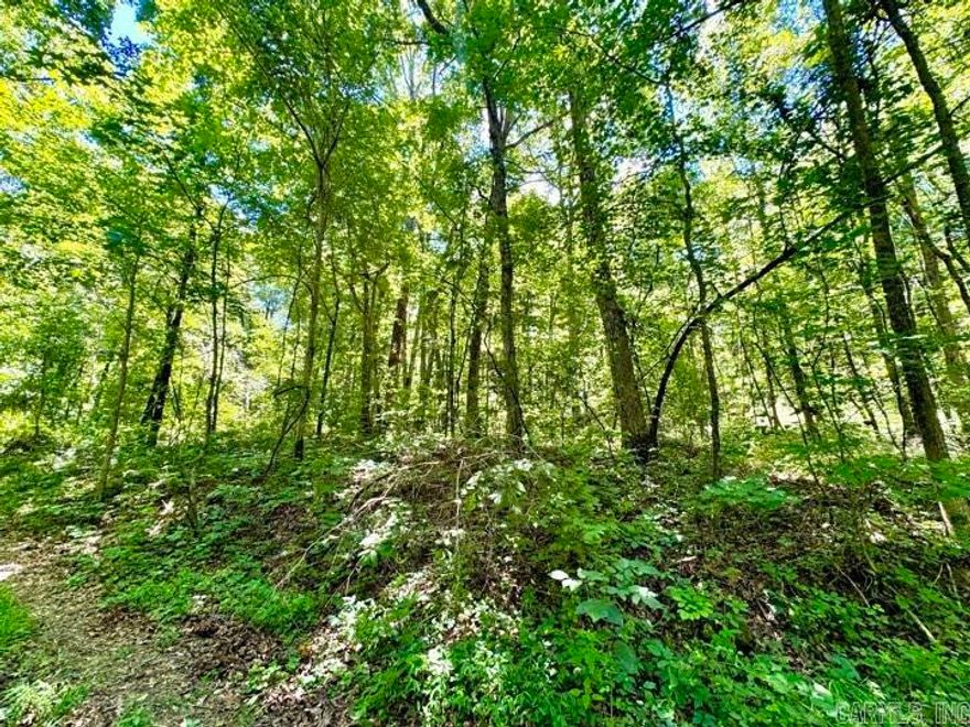 Discover the perfect getaway on this 9.39-acre wooded property. Nestled in nature, this sloped land offers potential for stunning views once cleared. With a few flat spots ideal for building a home, it's a versatile piece of land waiting for your vision. Whether you're a hunter looking for your next adventure or someone seeking a serene retreat, this land has it all. Don't miss out on this unique opportunity!  Please call or text the listing agent to schedule showings!