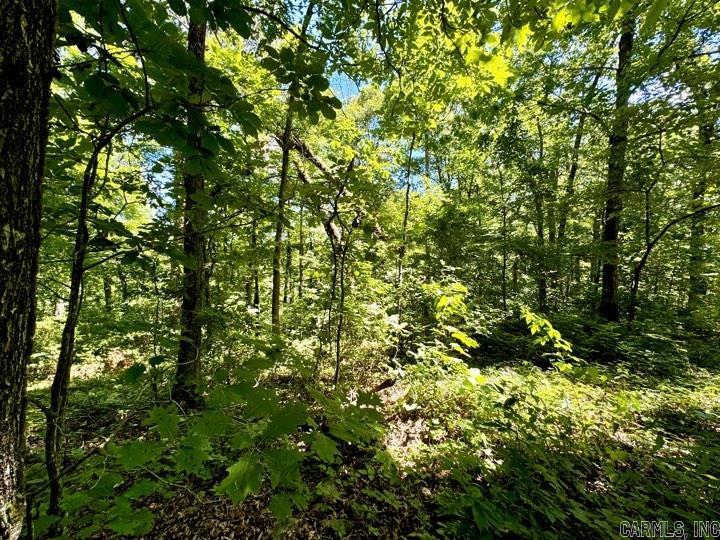 City of Clinton - Land