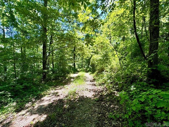 City of Clinton - Land