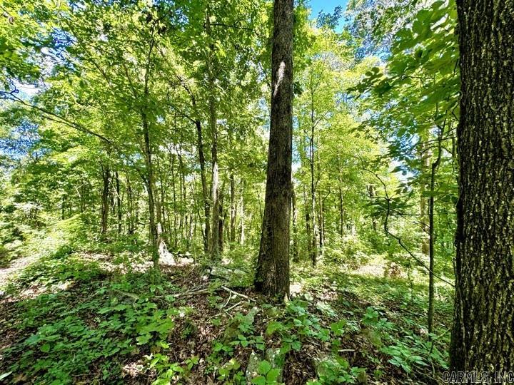 City of Clinton - Land