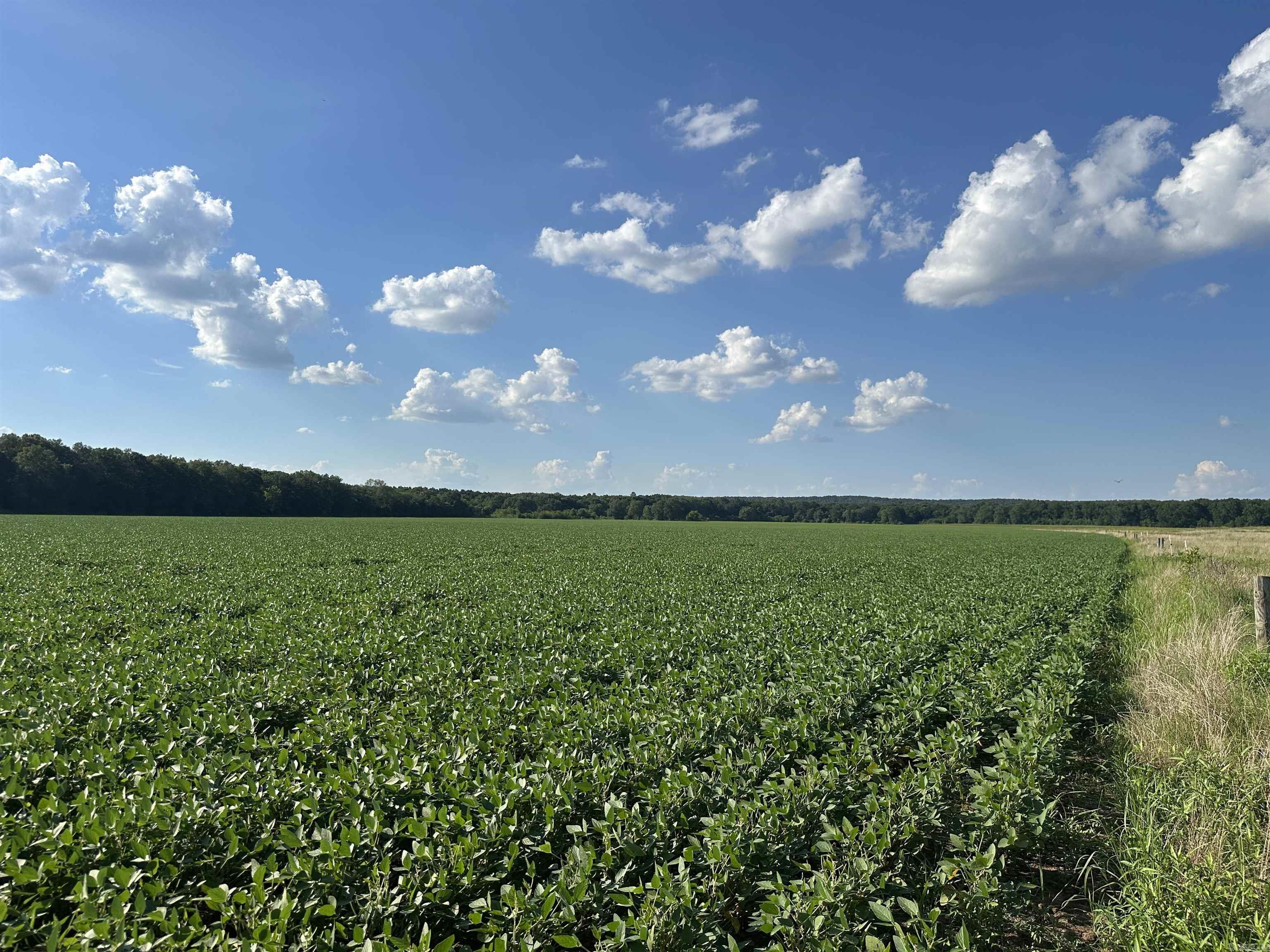 Metes & Bounds - Farm