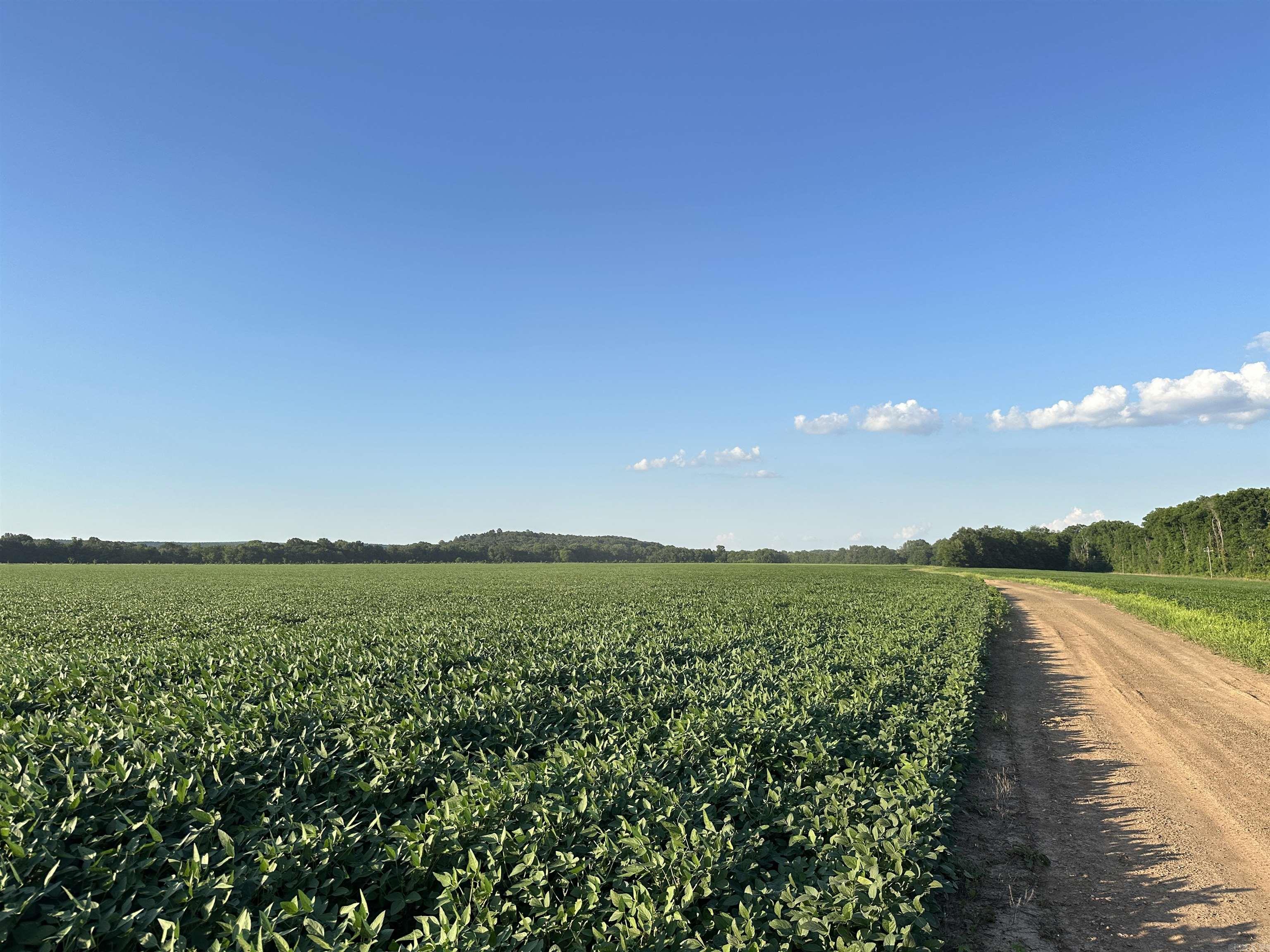 Metes & Bounds - Farm