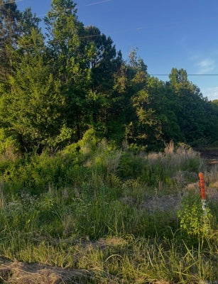ADDRESS PRIVATE, MONTICELLO, AR 71655 - Image 56bf72bf63c651baa9f012cef3d7d8e0/3878893773
