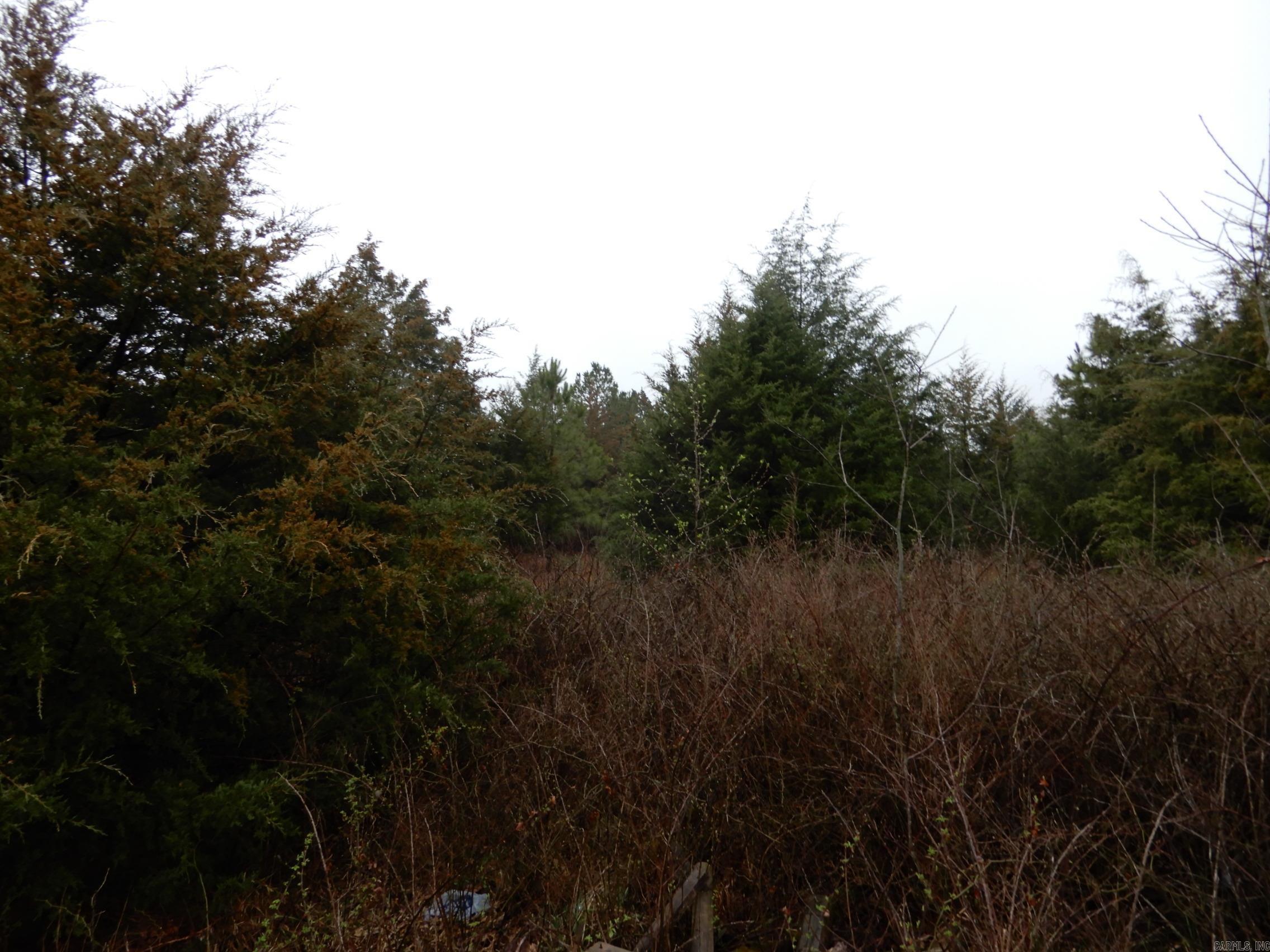 Cedar Creek Estates - Land