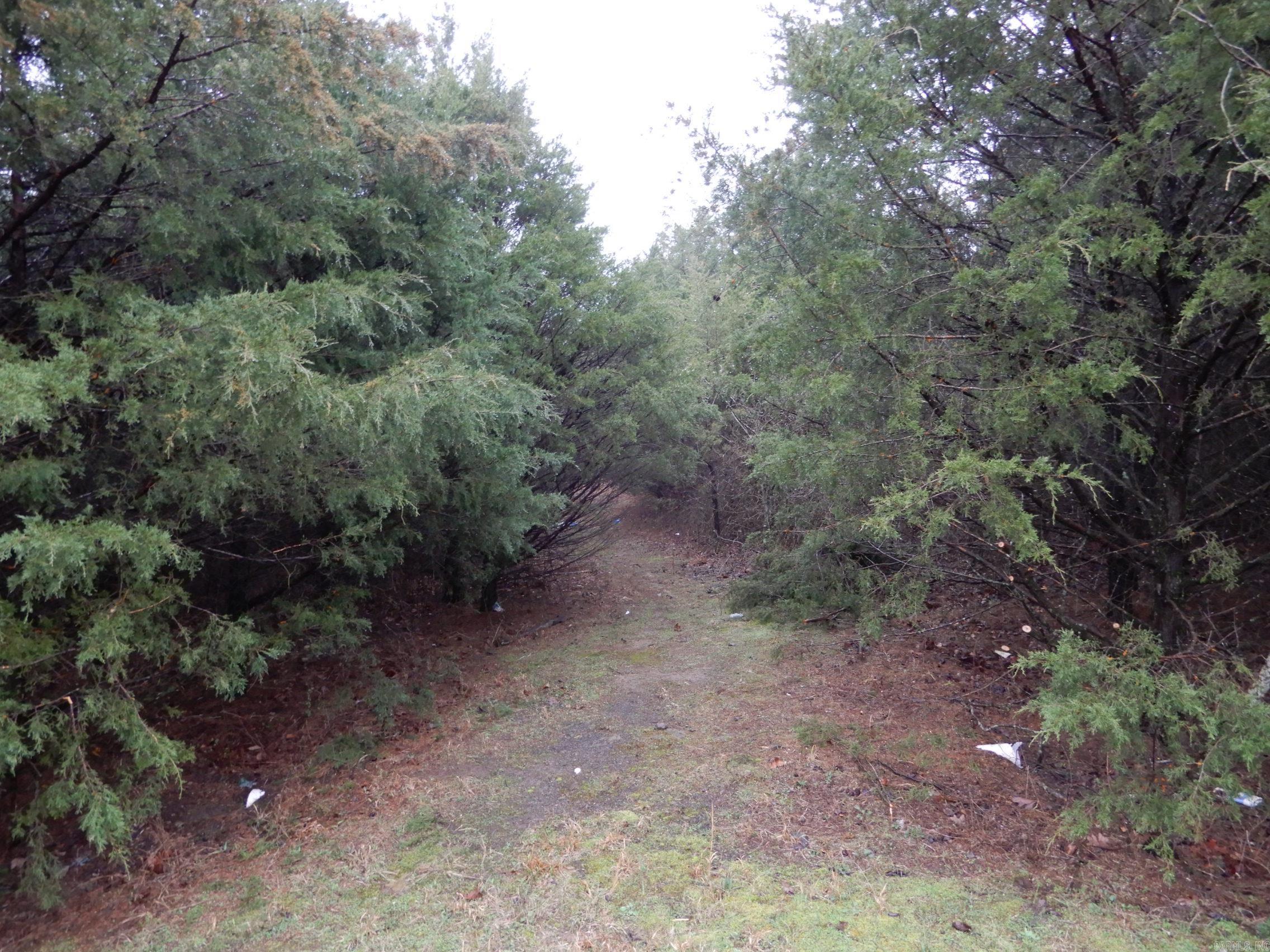 Cedar Creek Estates - Land