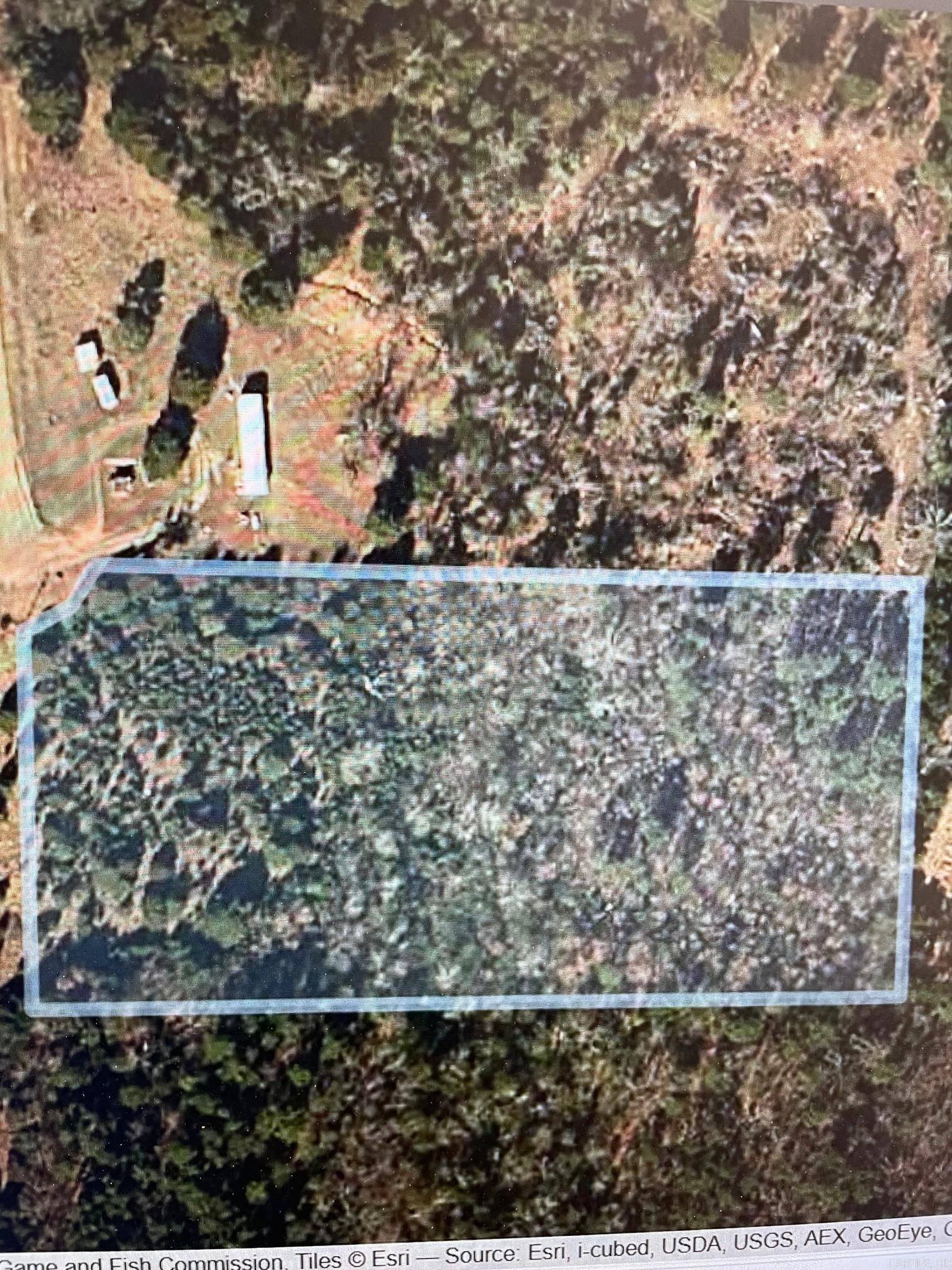 Cedar Creek Estates - Land