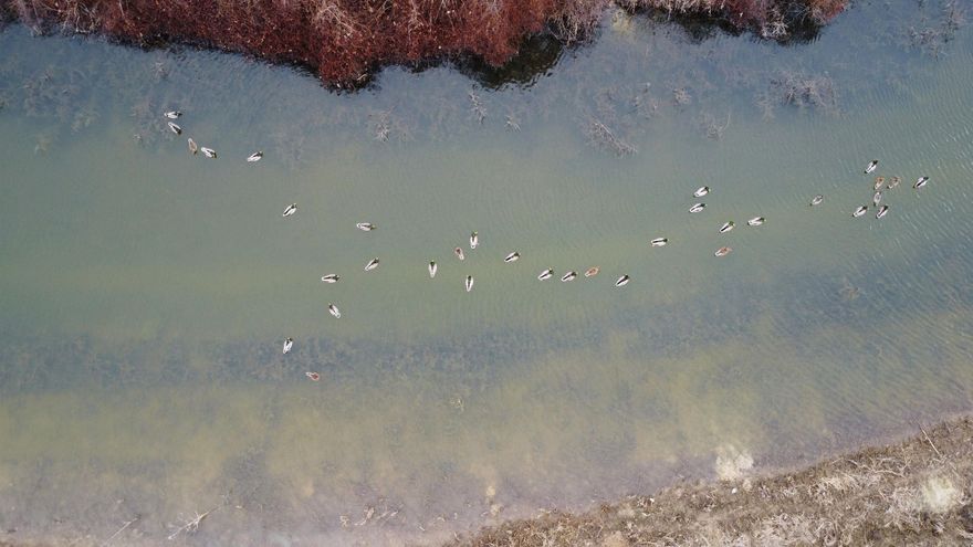 Premier Duck Hunting & Income-Producing Farm - Cross County, Arkansas  Located on the east side of the L'Anguille River in Cross County, Arkansas, this 162.41± acre turnkey waterfowl property offers an exceptional blend of proven duck hunting, irrigated farm ground, and river-bottom timber. The farm has been thoughtfully developed and improved specifically for waterfowl habitat, access, and reliability.  The property features an excellent water delivery system, including a 60 HP electric well, 100 HP diesel power unit well, and a 40 HP two-way electric relift system (currently being installed) that allows water to be pulled from both the river and the fields. This setup provides outstanding water control in both wet and dry years.  Approximately 110± acres are irrigated, with an additional 30± acres non-irrigated, and the remaining acreage consisting of river bottom timber along the L'Anguille River, creating ideal loafing and travel corridors for ducks. The crop fields are on a rice/corn rotation (75/25 split), and there is an existing agreement with the farmer to leave the owner's share of the crop standing for waterfowl habitat in lieu of cash rent. A new owner may continue this