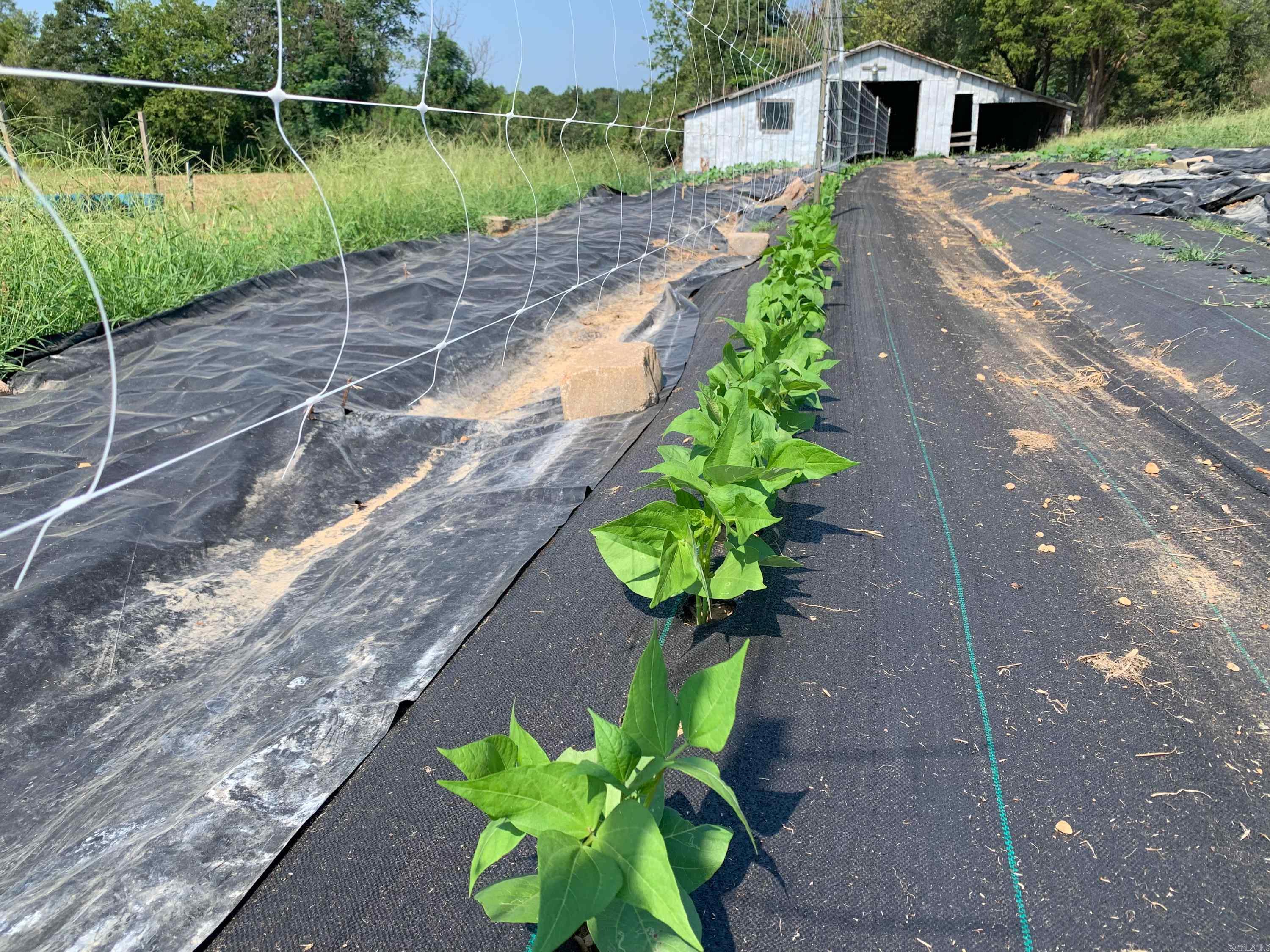 Metes & Bounds - Land