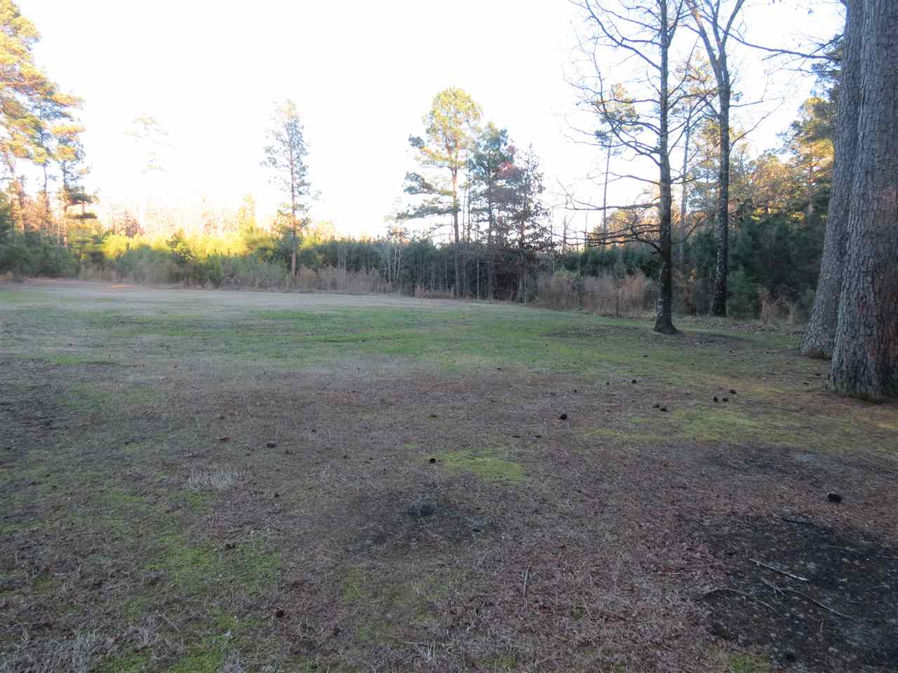 Dial #2 - Residential