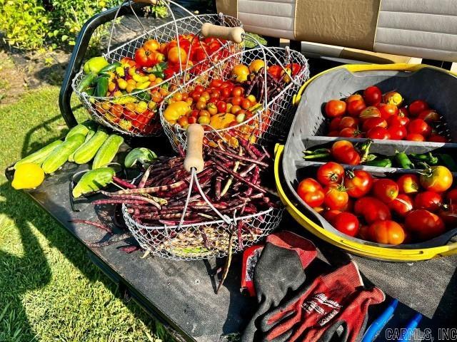 Metes & Bounds - Farm