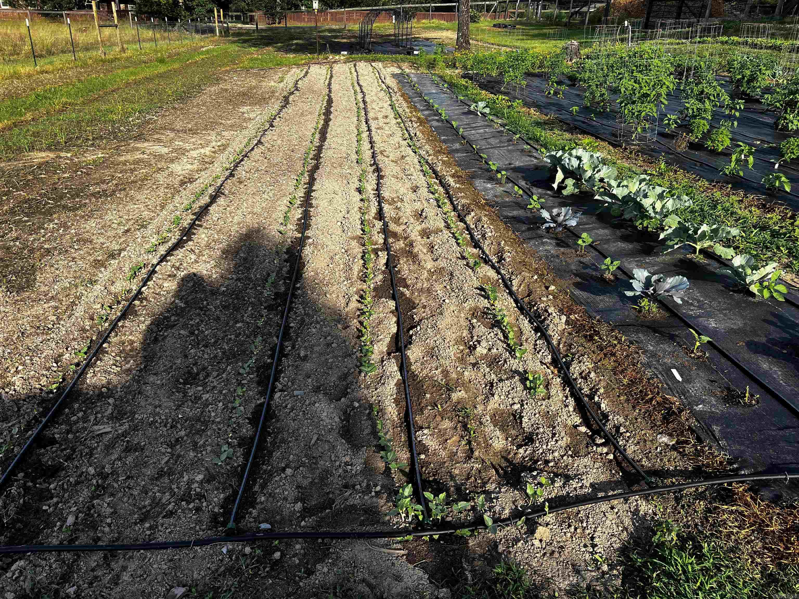 Metes & Bounds - Farm