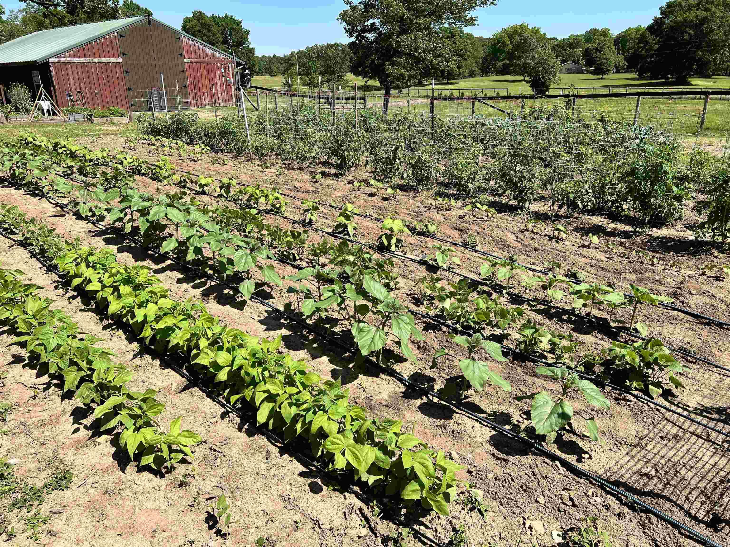 Metes & Bounds - Farm