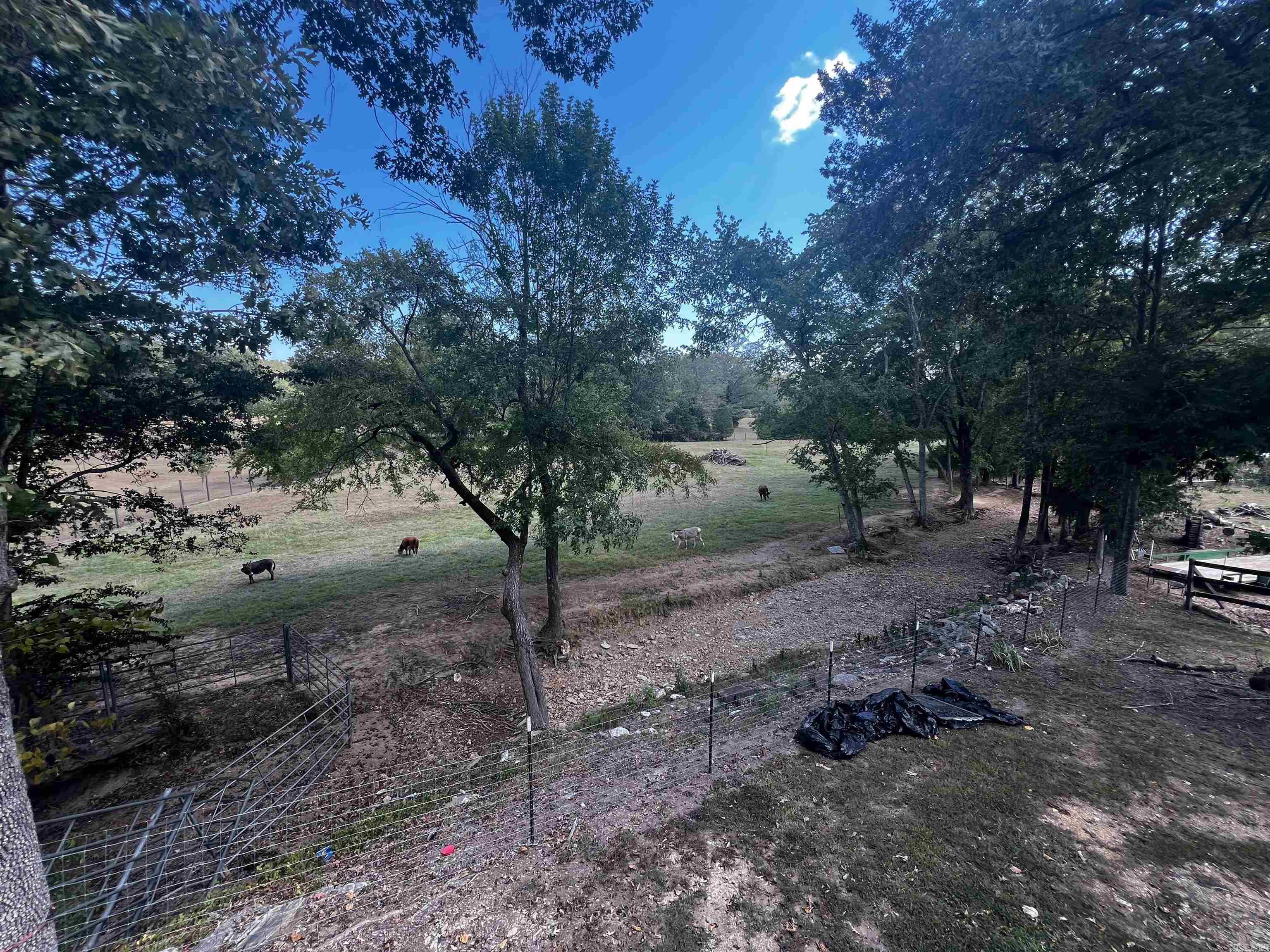 Metes & Bounds - Farm