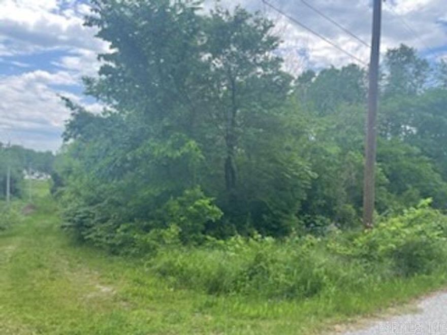 Quiet subdivision on the edge of Mtn Home. Utilities available lot needs to be cleared. Seller has limited knowledge of property. $11,999.