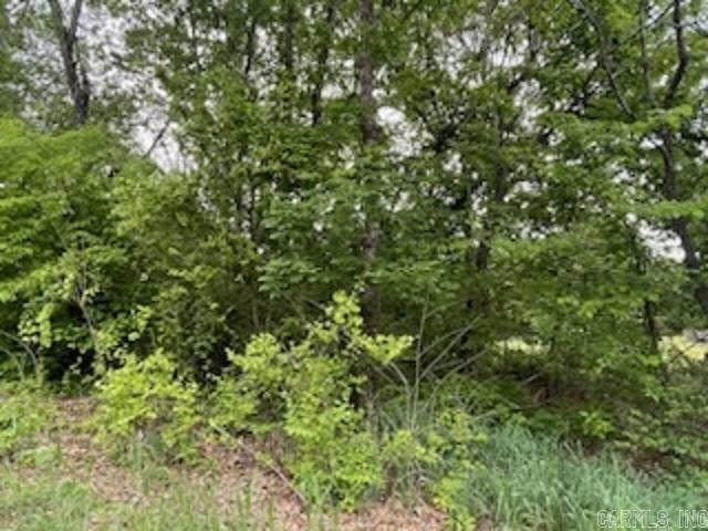 Town Park Estates - Land