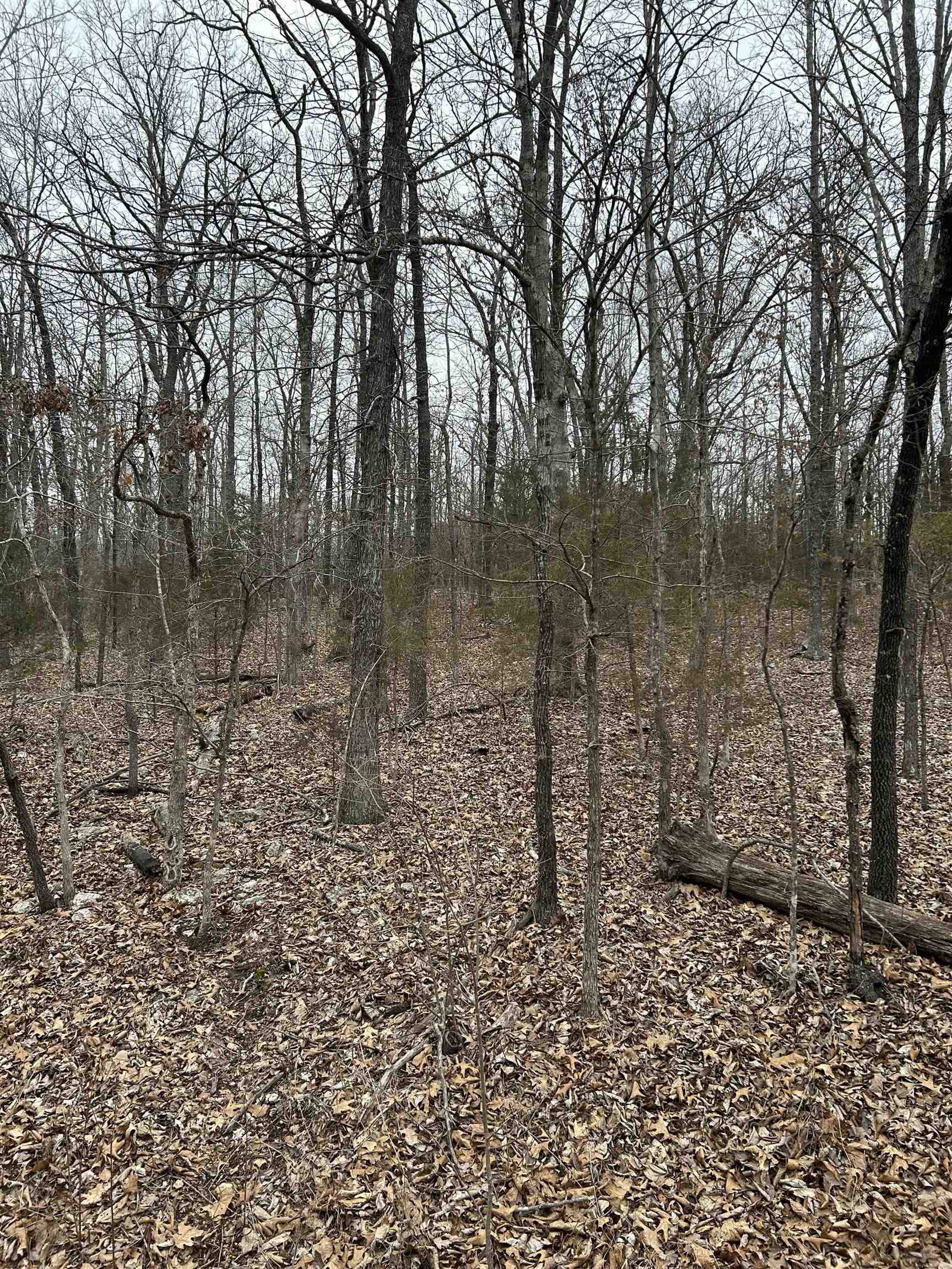 Build your retirement home on this wooded lot on paved Rd with utilities available . plenty of wildlife , no close neighbors and enjoy the lakes , golf courses , and Southfork River as well as Spring River at Hardy . Property is located close to shoping and resturants