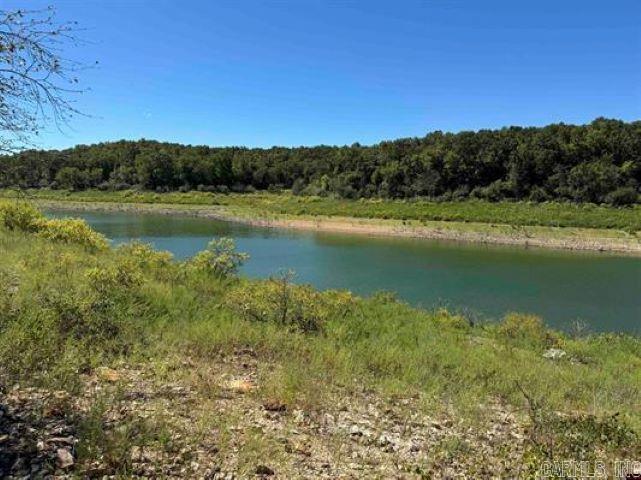 View of Bull Shoals Lake on back side. Amazing unrestricted 21.19 AC M/L adjoining the Corp of Engineer land surround Bull Shoals Lake. $220,000