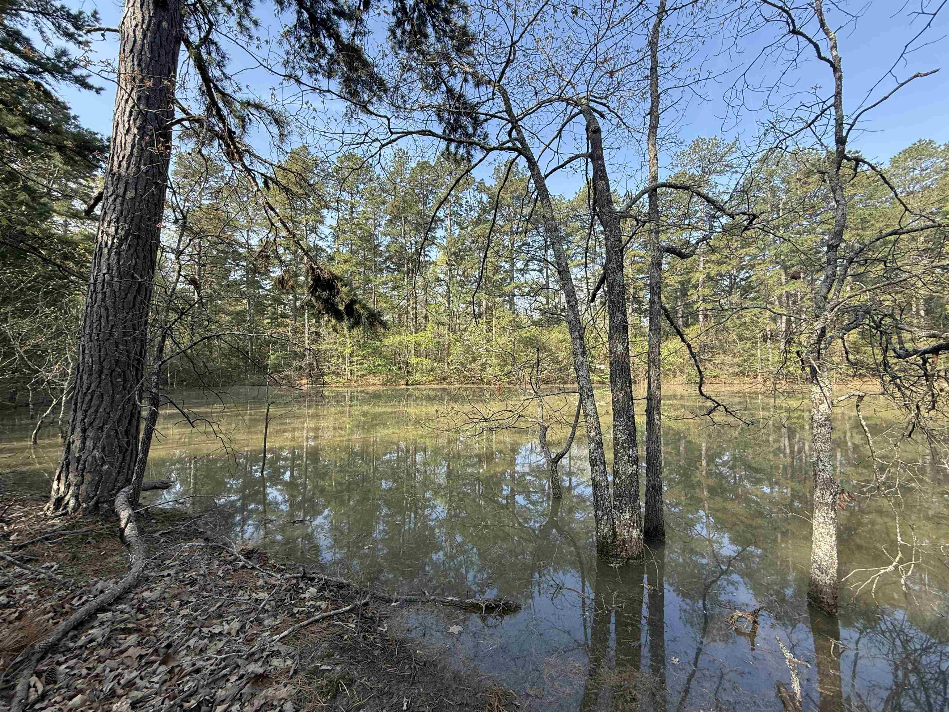 Metes & Bounds - Land