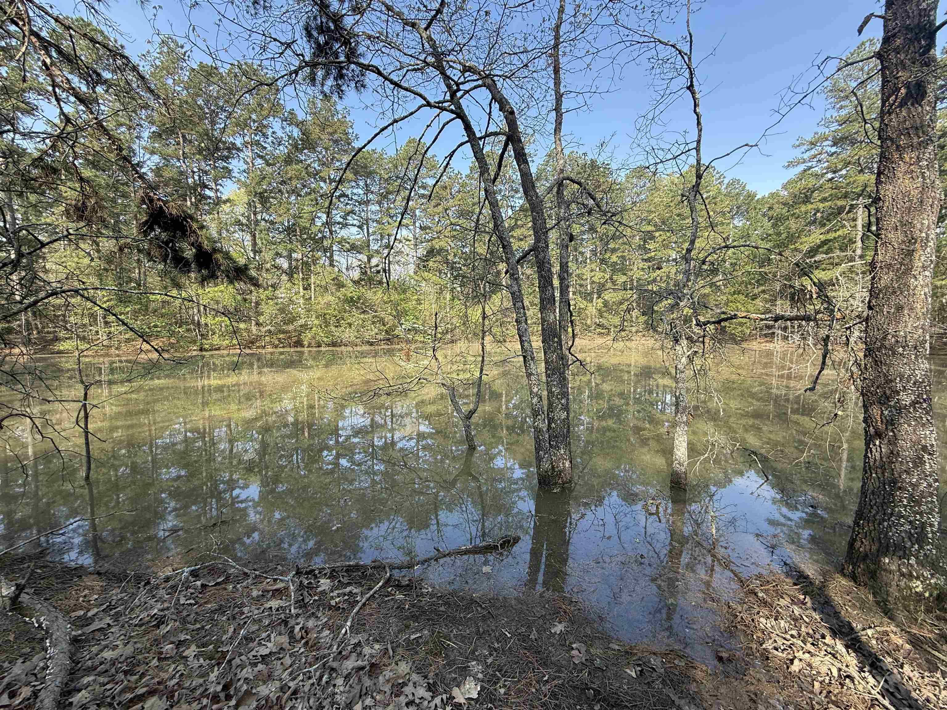 This beautiful 35.26-acre tract has Highway 56 frontage along the north side and additional gravel road access on the east side , making it easily accessible from multiple directions. The property features a mix of mature pine and oak timber, offering both natural beauty and investment potential. The land also offers great hunting opportunities- loaded with deer and turkey. A scenic pond sits in the center of the property, adding to its charm and making it an excellent spot for building your dream home or weekend getaway. Whether you're looking for a peaceful retreat, hunting land, or a smart timber investment, this land has endless possibilities. This 35 acre property is priced for only $149,500.