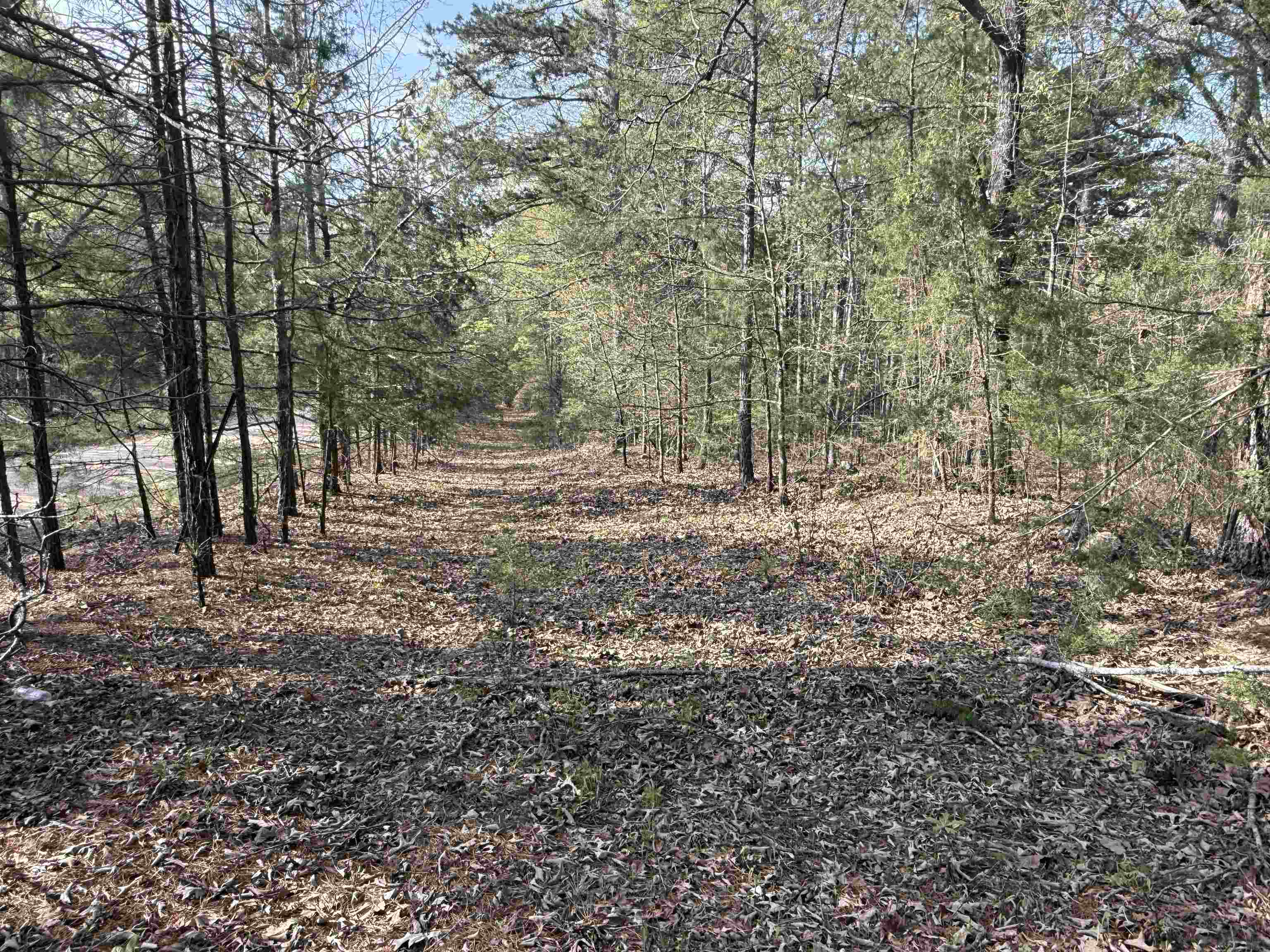 Metes & Bounds - Land