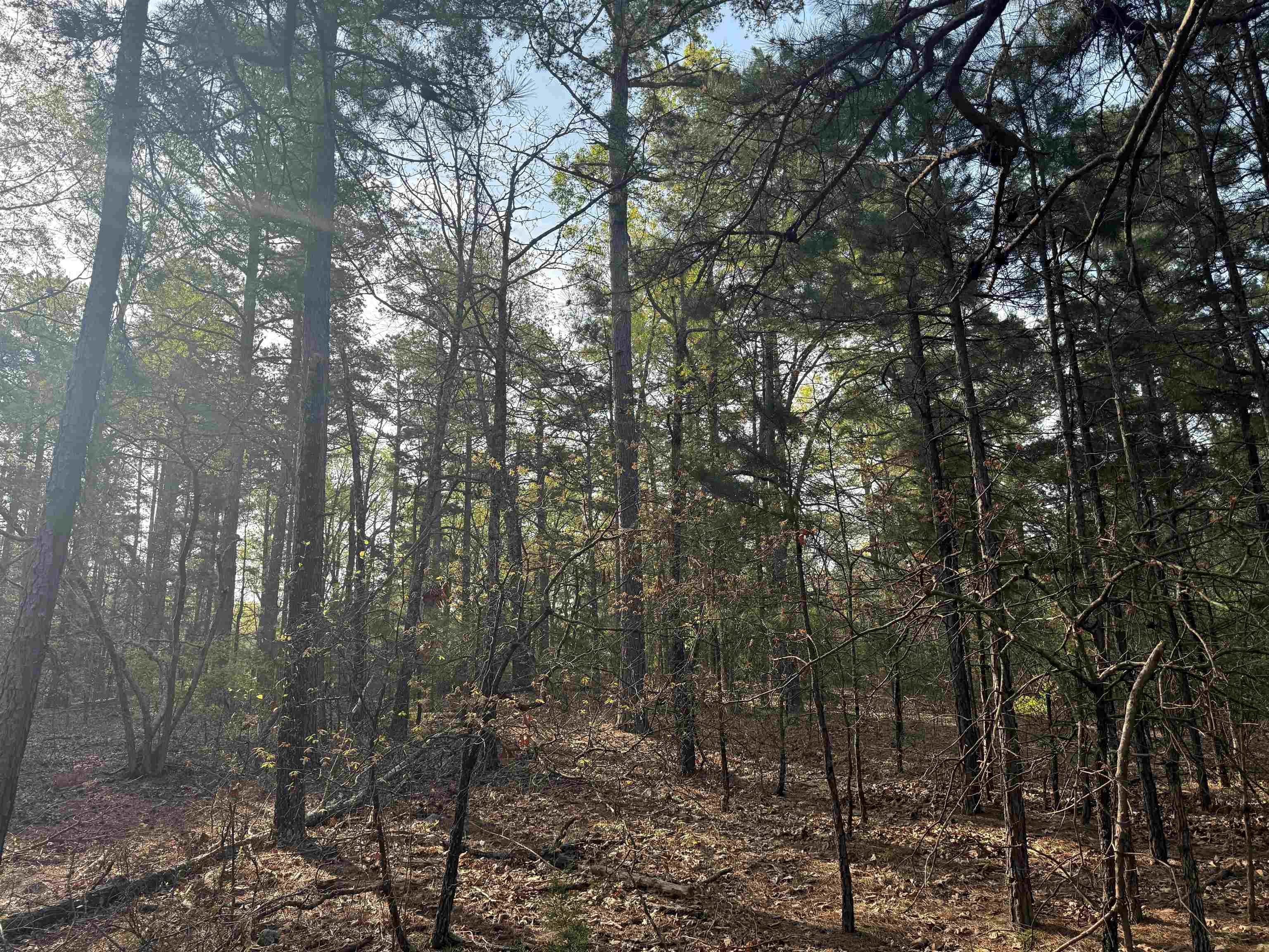 Metes & Bounds - Land