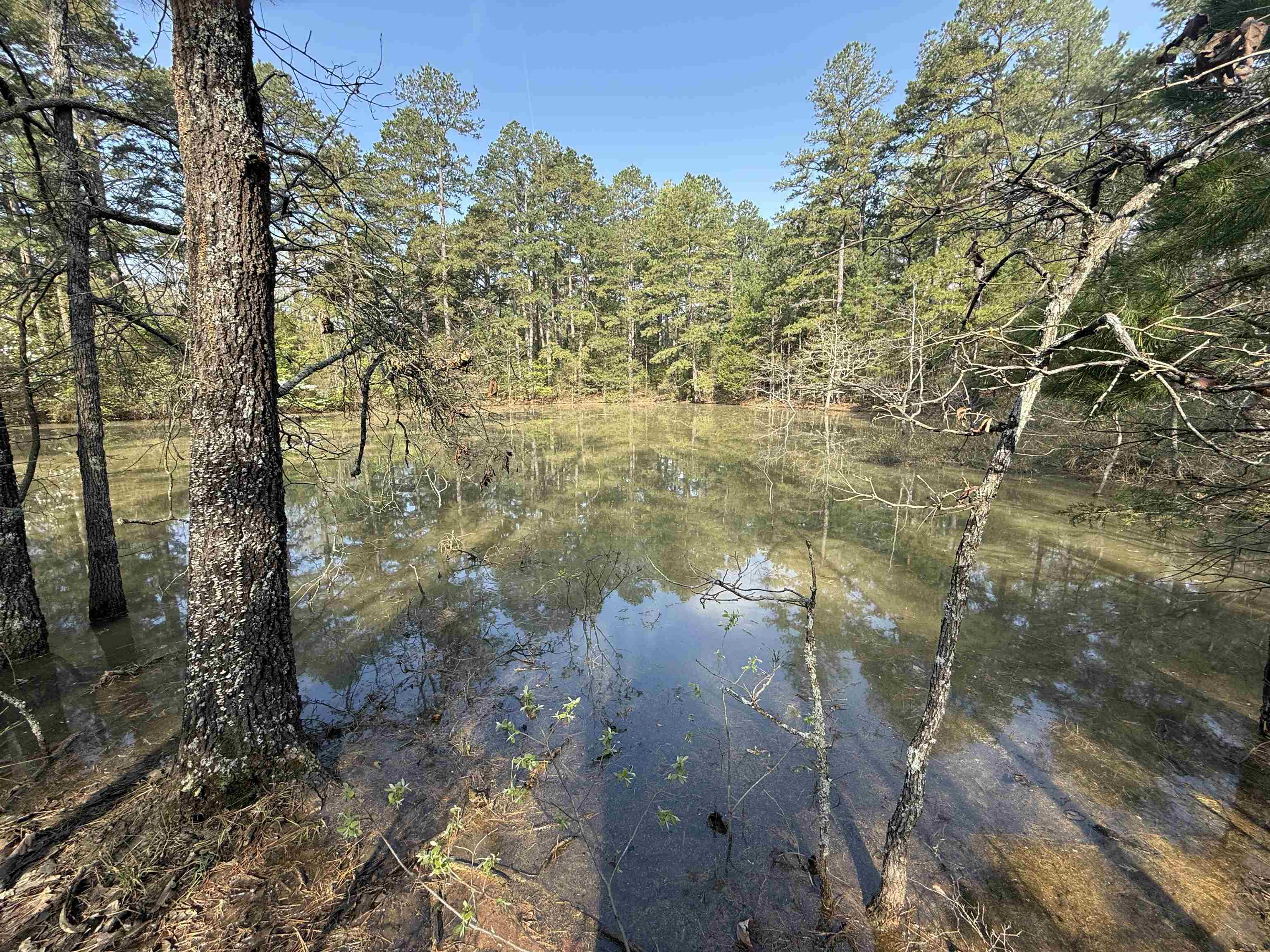 Metes & Bounds - Land