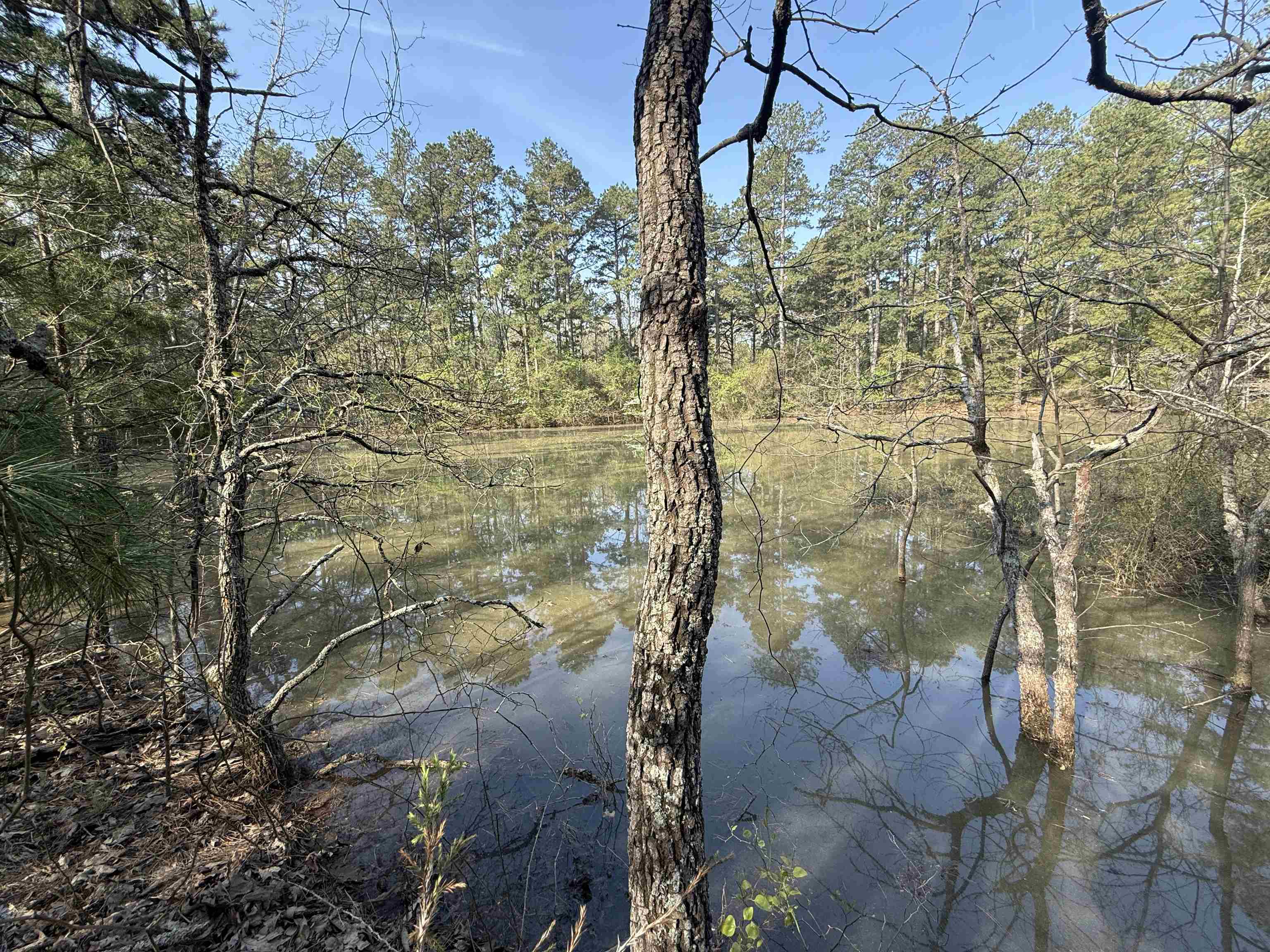 Metes & Bounds - Land