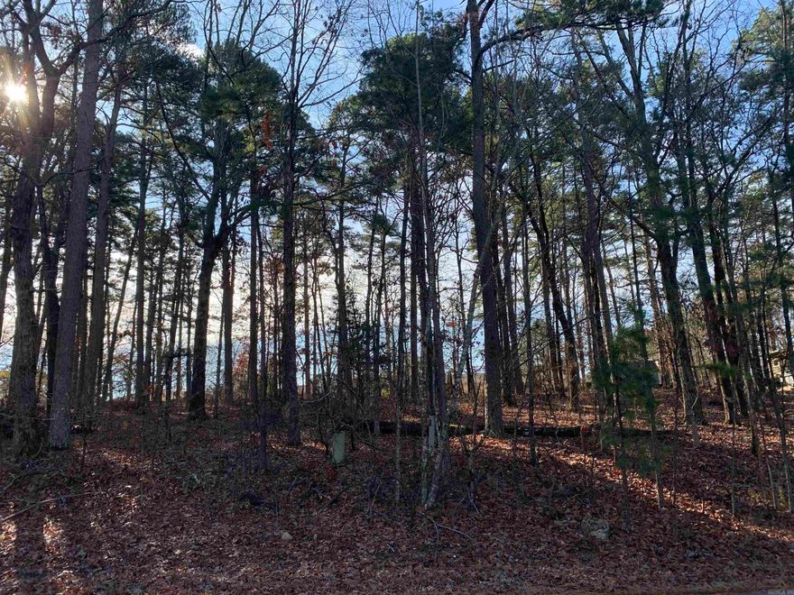 Land for sale.  Seize this "lot of opportunity" to own a piece of Arkansas pristine land. Nestled in the heart of the scenic Ouachita mountains, within an exclusive gated community. Surrounded by natural beauty, this land offers the perfect blend of privacy and recreation. Enjoy access to an array of amenities, including, but not limited to recreation center, maintained walking trails, fishing, boating and SO MUCH MORE!! This lot is the perfect canvas to create your dream home.  First time buy in fee of $300.00