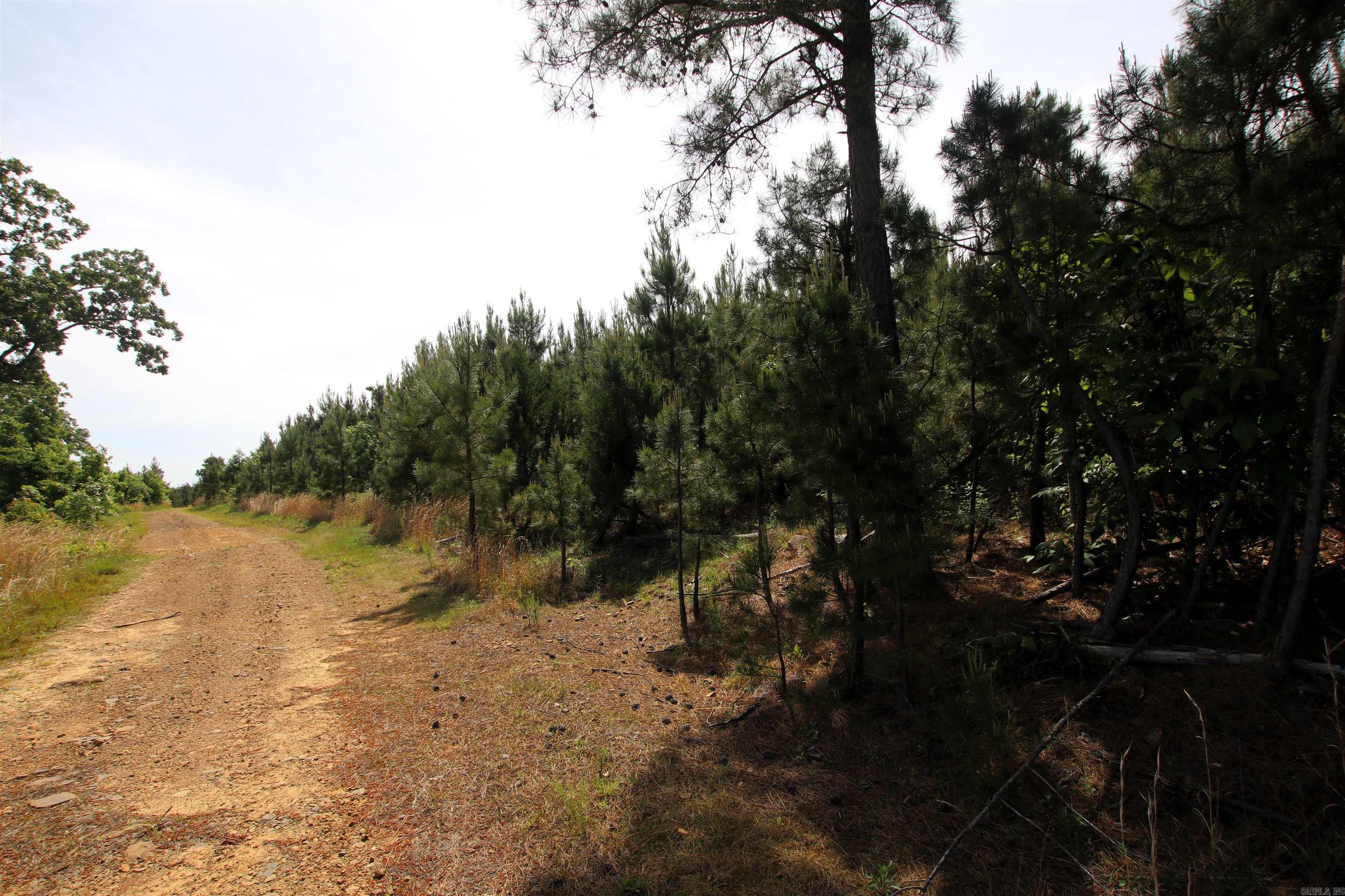 Not in Subdivision - Land