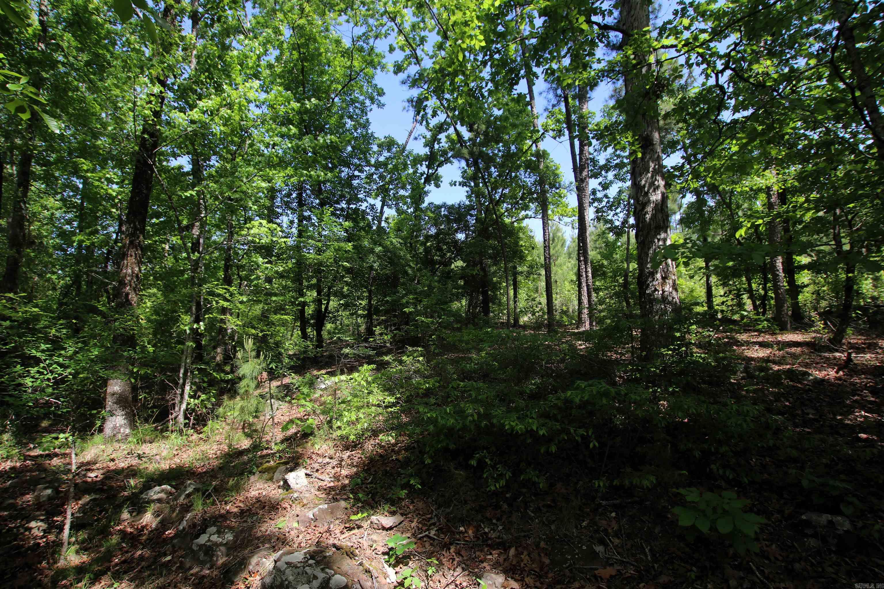 Not in Subdivision - Land