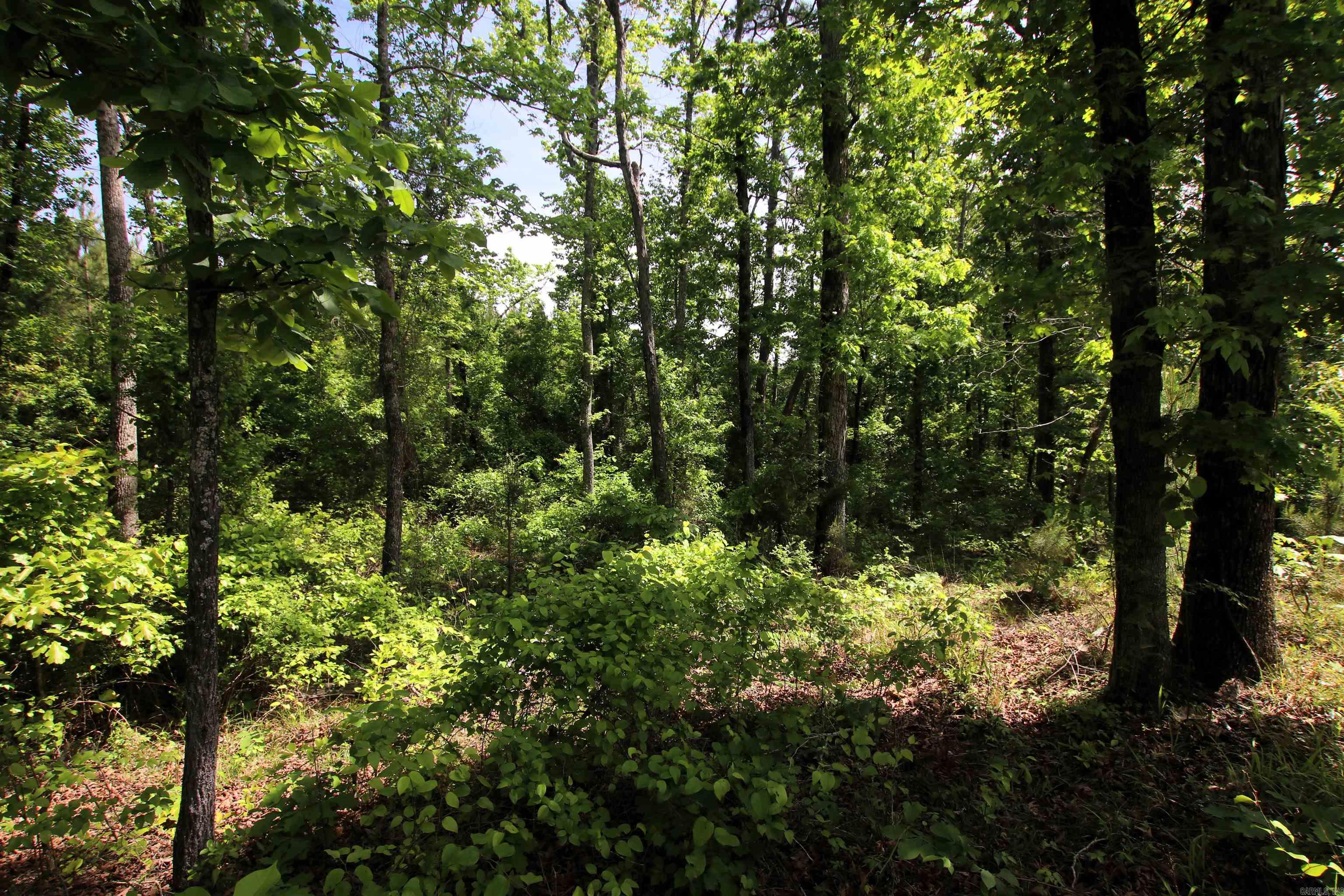 Not in Subdivision - Land