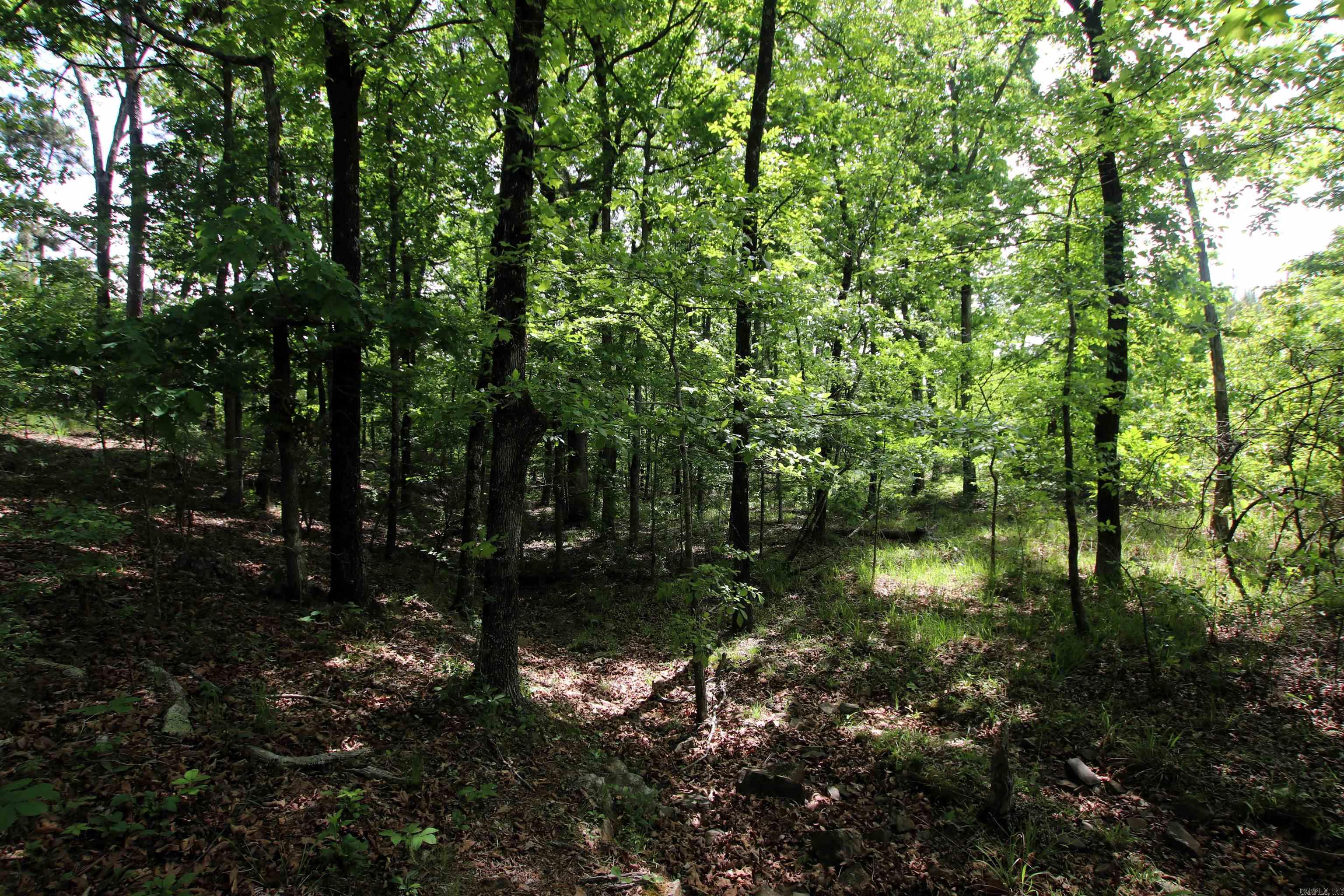 Not in Subdivision - Land
