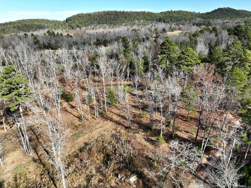 CLOSE TO NATIONAL FOREST Discover the perfect spot to build your getaway cabin or permanent home on this beautiful 5.05-acre property! Nestled near scenic ATV trails and offering easy access to a variety of recreational activities, this land is ideal for outdoor enthusiasts and nature lovers alike.  The property is located close to the breathtaking Ouachita National Forest Service land, providing ample opportunities for hiking, wildlife viewing, and exploration. Imagine waking up to the serene sounds of nature, surrounded by lush greenery and trees. Some deed restrictions apply. Whether you're looking to build a cozy cabin for weekend escapes or a permanent residence where you can immerse yourself in nature, this property offers the perfect canvas for your vision. Additional lots available with differing acreage and prices.
