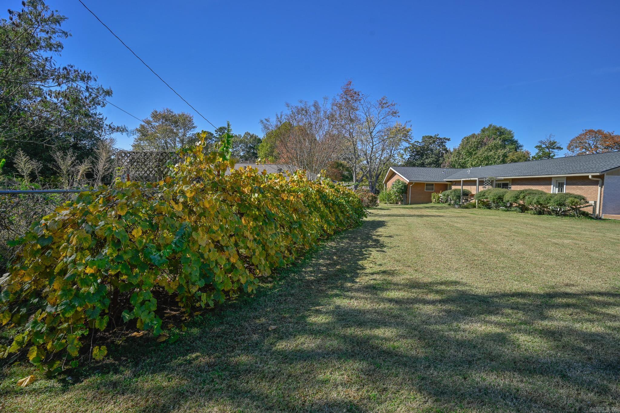 Riales - Residential