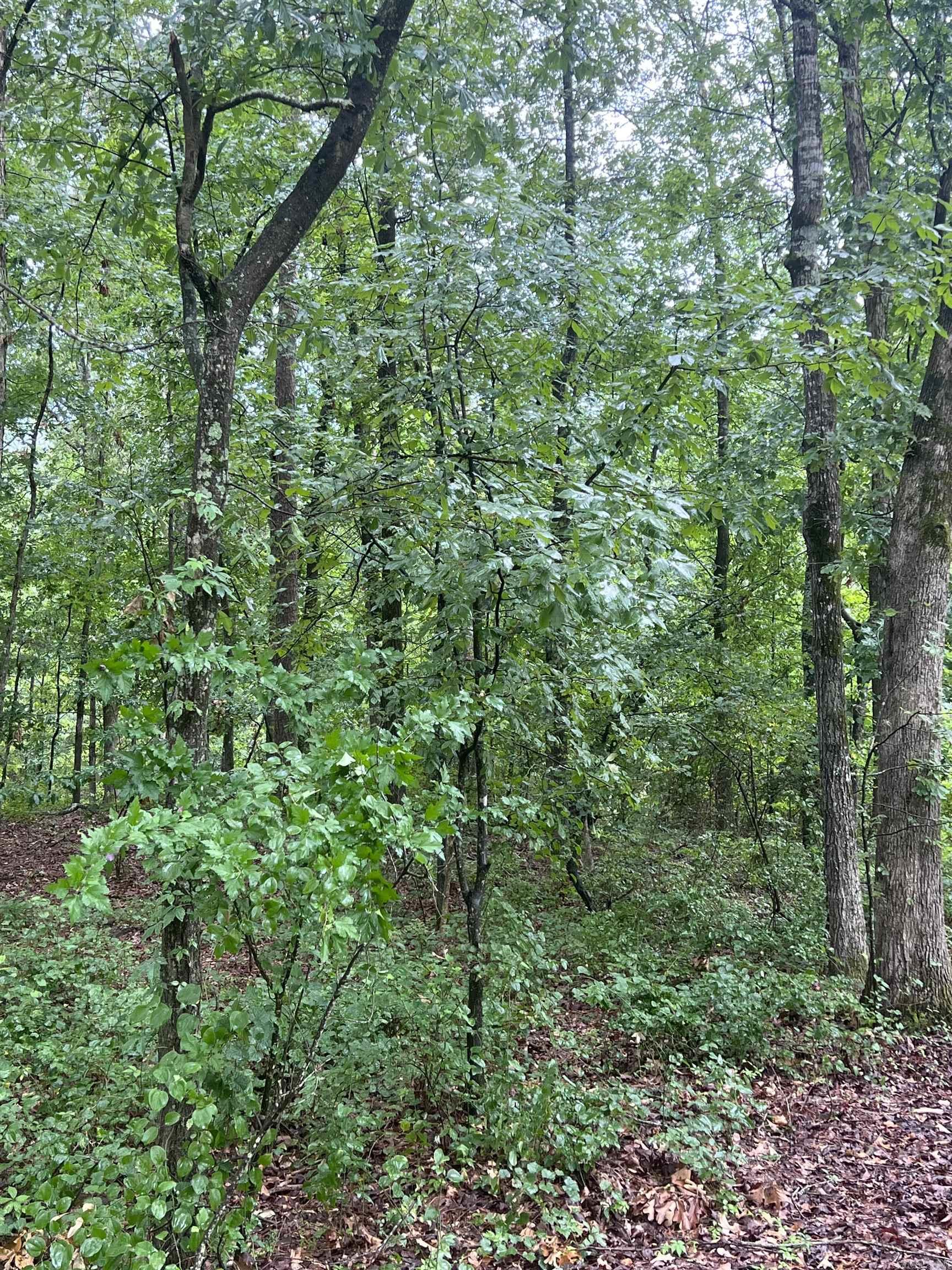 Looking to build in White Hall School District? Here you go! Over 2.5 acres ready for your dream home! Call today for more information!