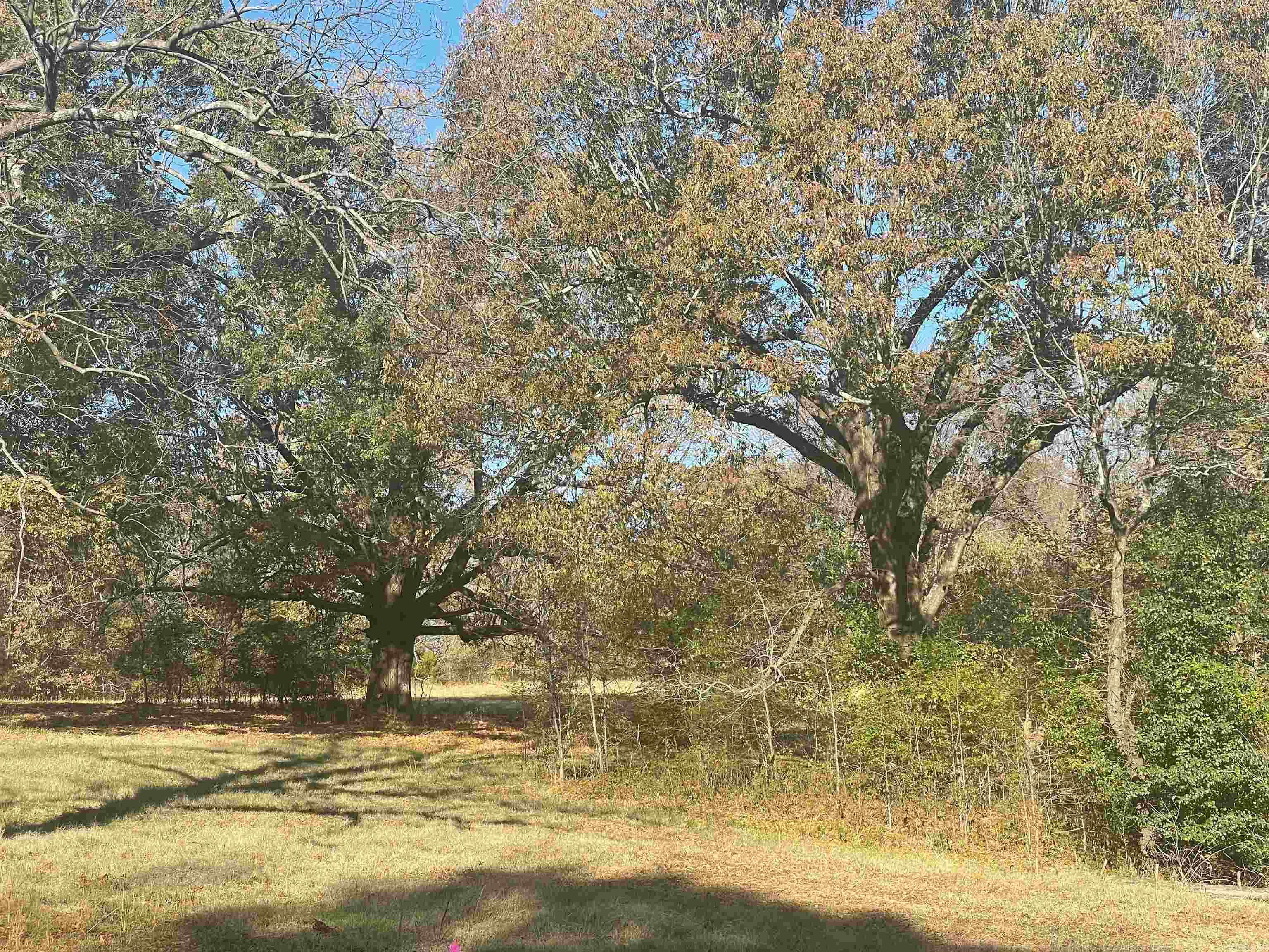 Not in Subdivision - Land