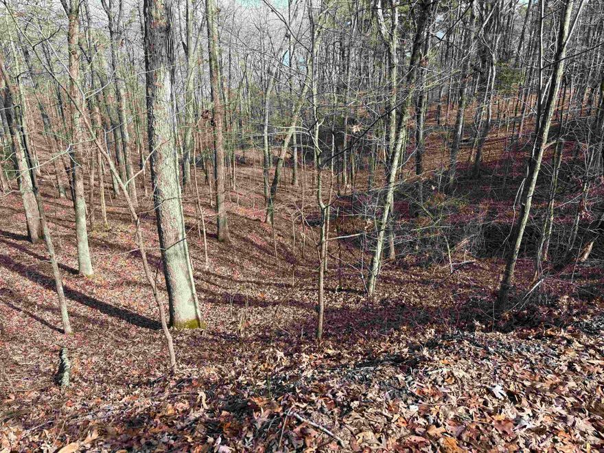 Great opportunity to own a 0.20-acre subdivision lot in a desirable area of Heber Springs, Arkansas, just minutes from the lake and nearby boat launch ramps. With a little clearing and vision, this property could make an excellent spot for a cozy vacation home, weekend getaway, or investment build. Enjoy the peaceful surroundings, convenient access to outdoor recreation, and the charm of lake living while still being close to town amenities. A solid piece of land in a great location with tons of potential.
