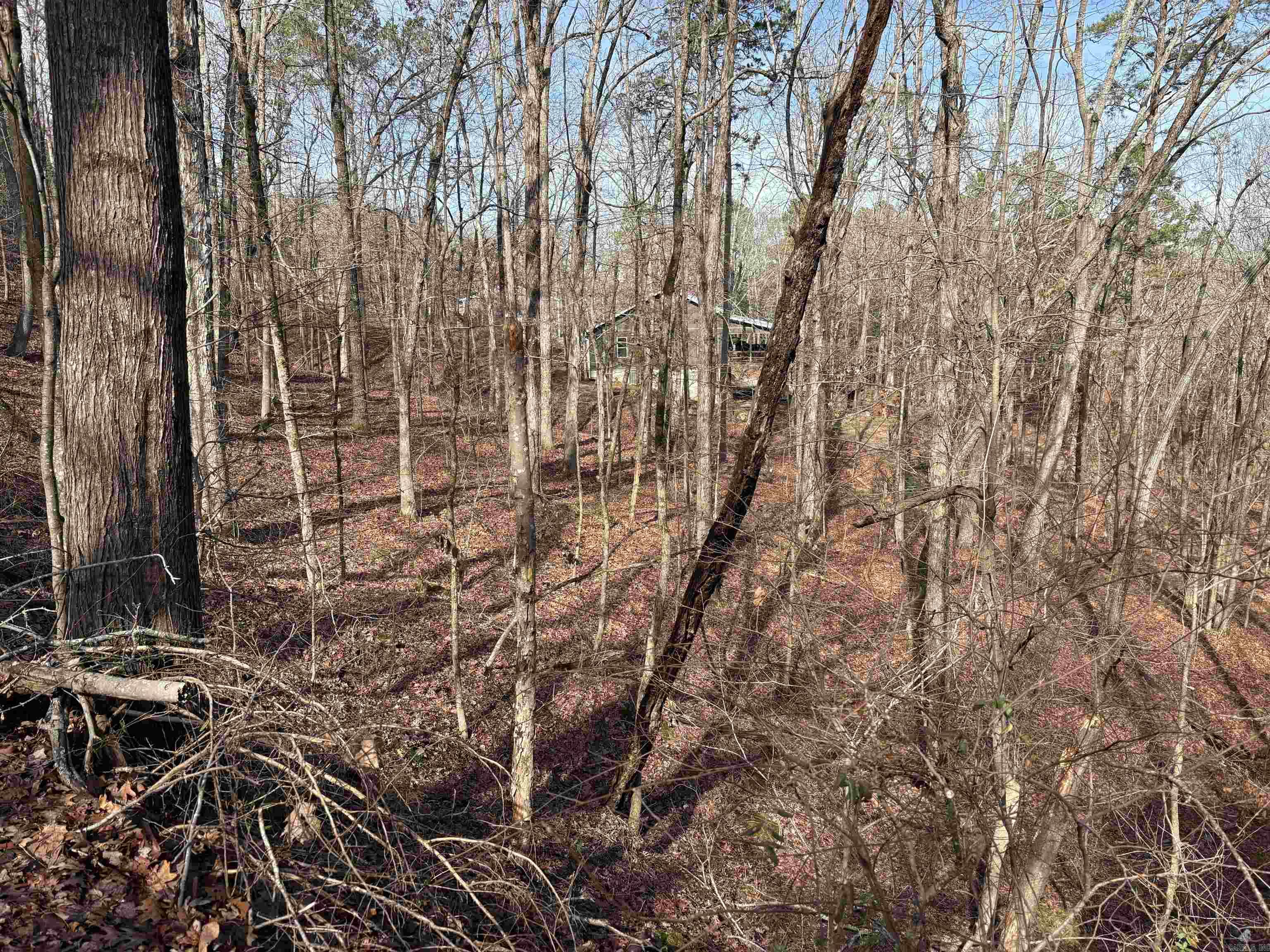 South Shores Park - Land