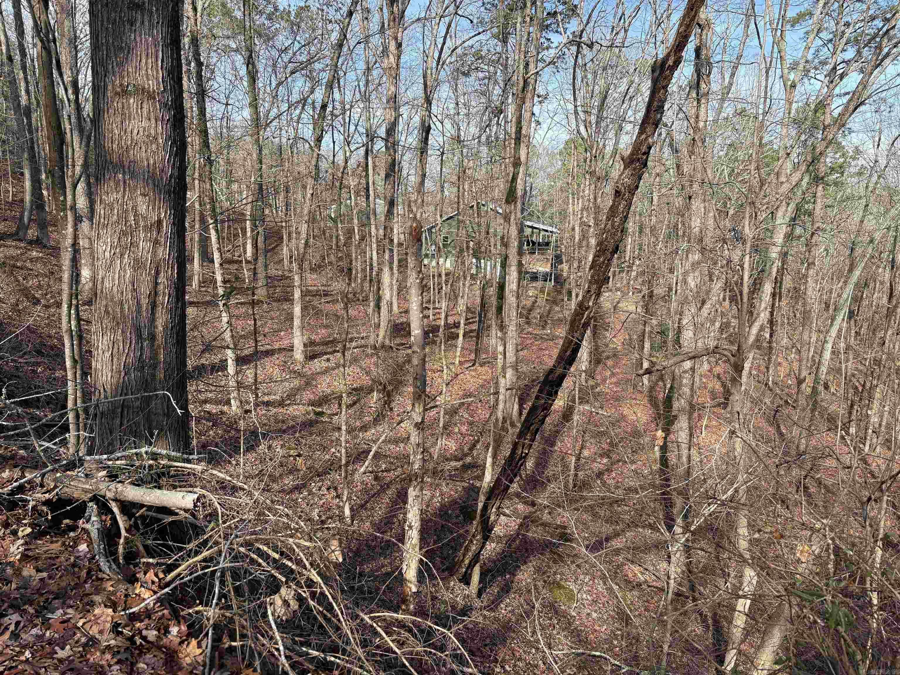 South Shores Park - Land