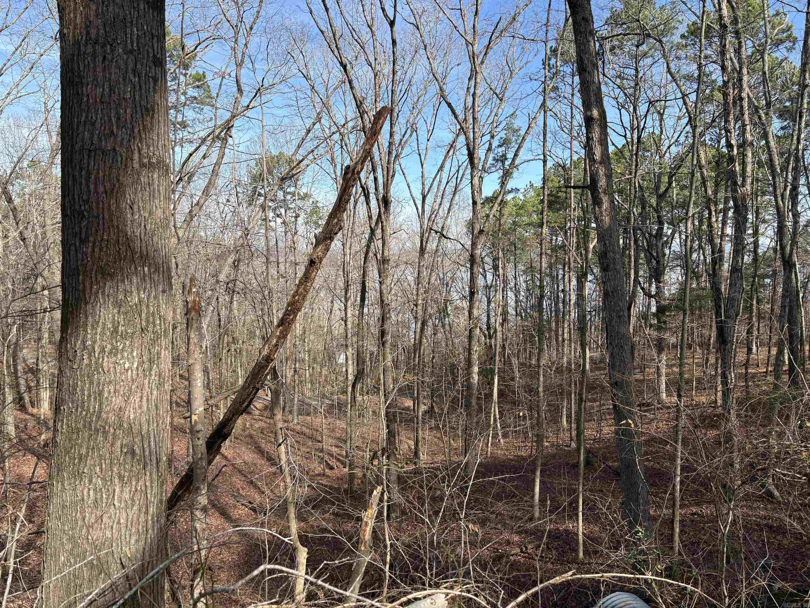 South Shores Park - Land