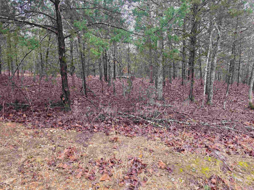 2 secluded lots, side by side, in an unrestricted area of Cherokee Village. Break out your tent or your RV and camp out if you want to. Build your off-grid cabin. Tiny home or what not. Secluded but with access to the main roads in a flash. Wooded land loaded with beautiful oaks and cedars. Come get a look at this property and let your imagination go wild. A weekend getaway spot for sure.