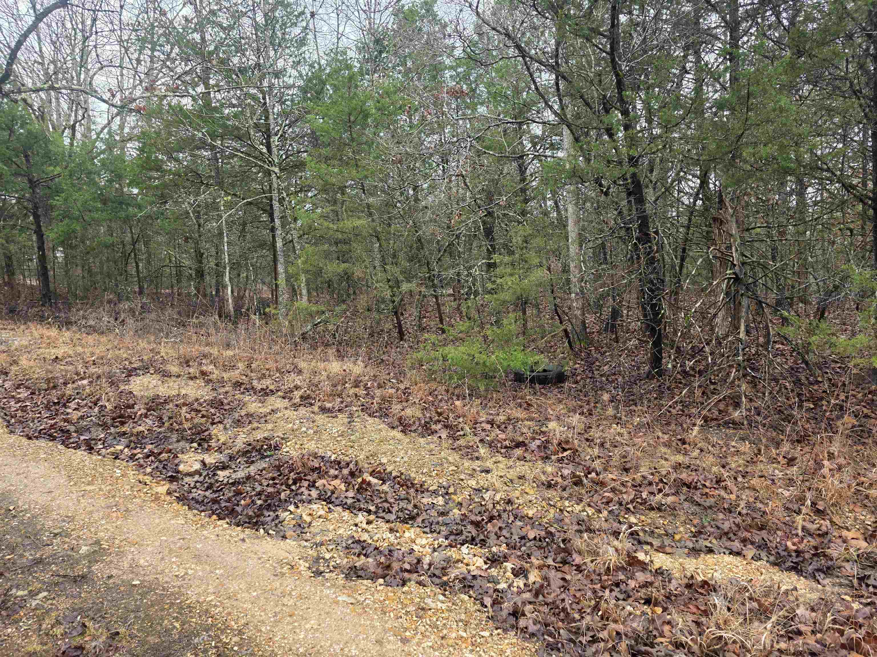 Cherokee Village - Land