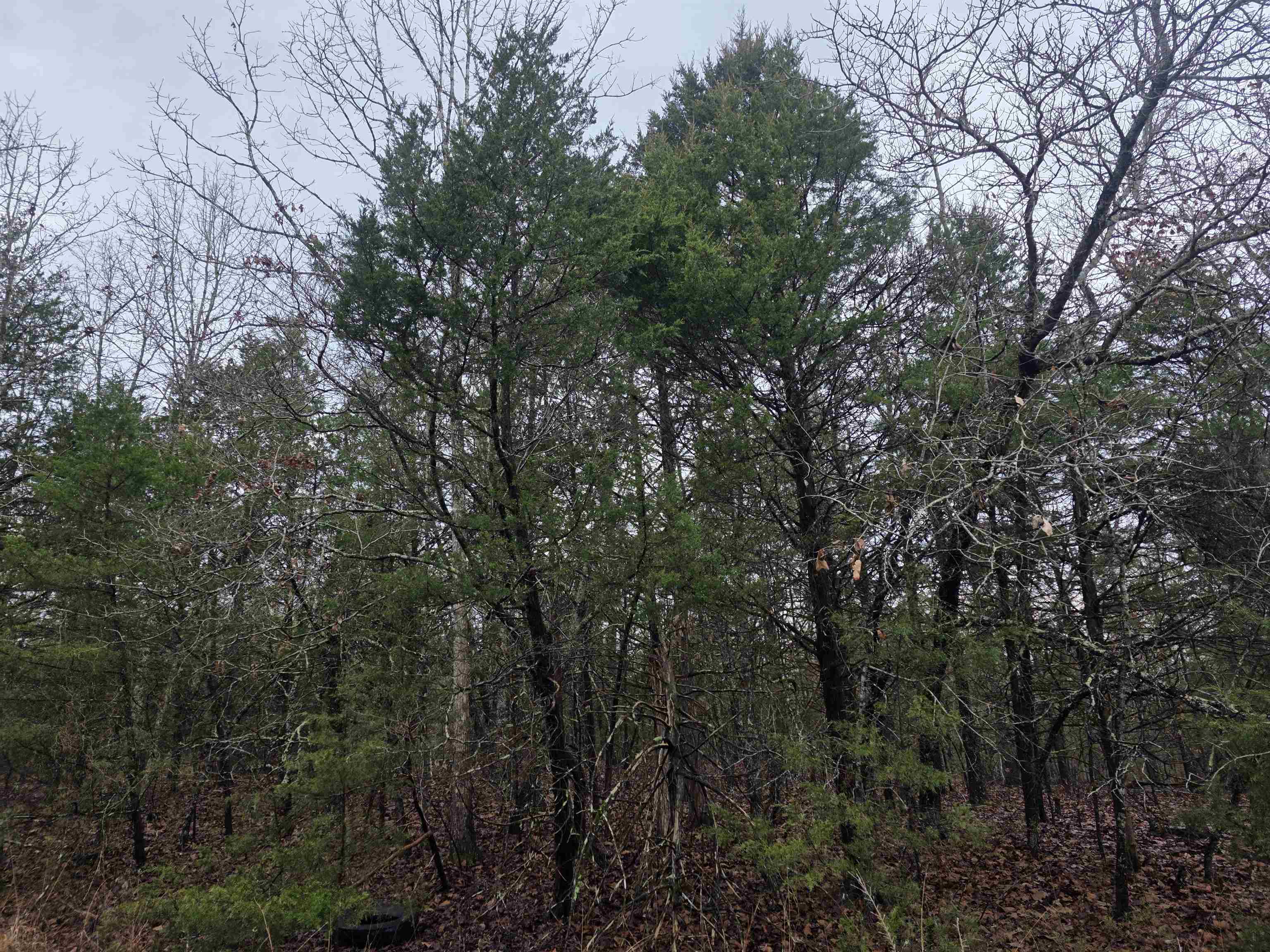 Cherokee Village - Land