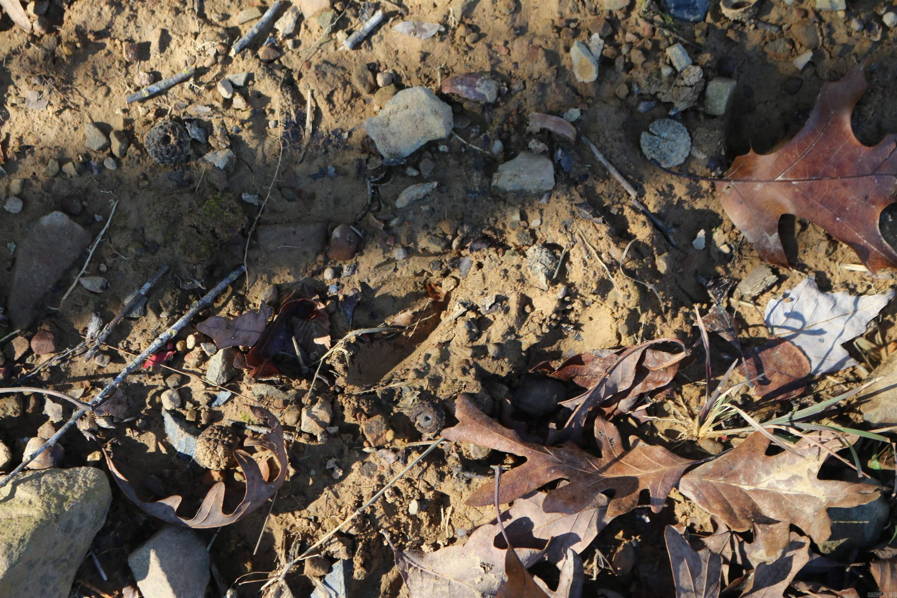 Polk County - Residential