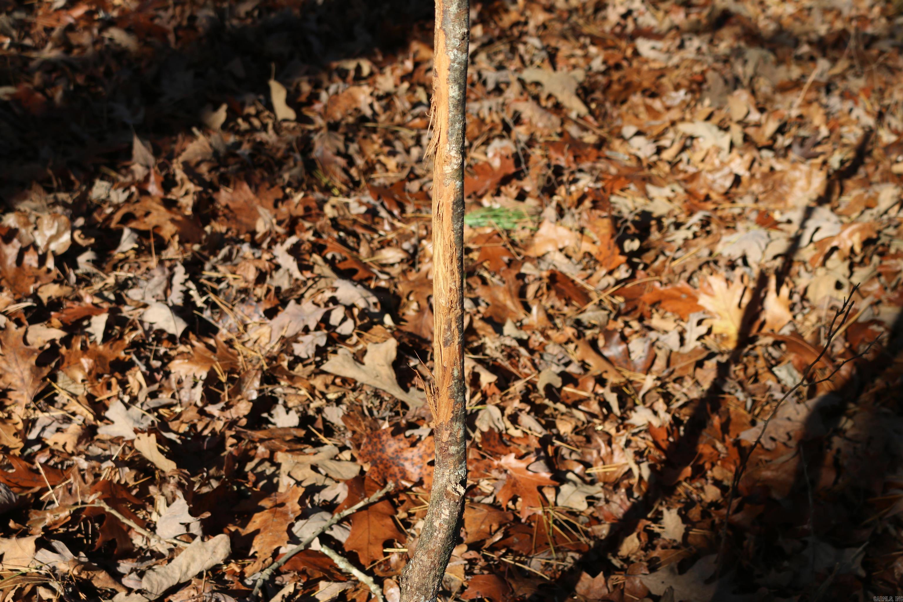 Polk County - Residential