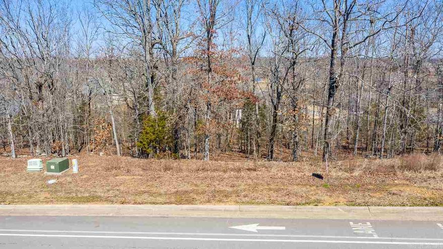Incredible lot with the best view in Greystone! Build the home of your dreams in the sought after Greystone neighborhood, Come take a look, Golf with your friends, fish in the ponds, or just hang out at the restaurant, Call today fore more details.