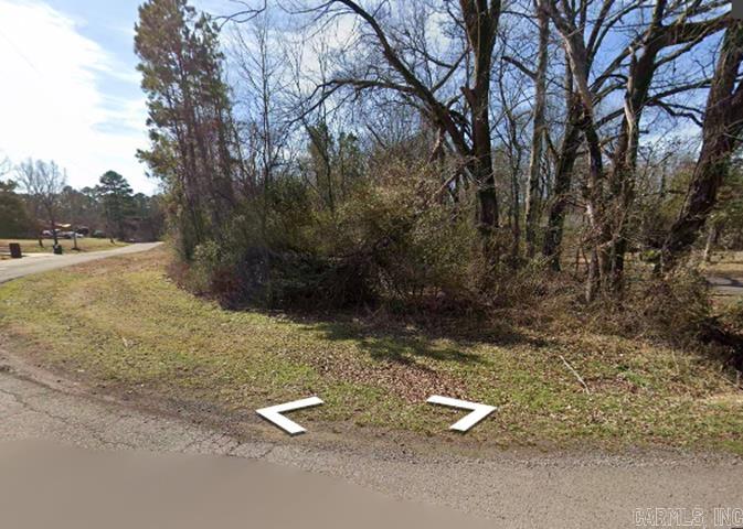 Bay Ridge Estates - Land