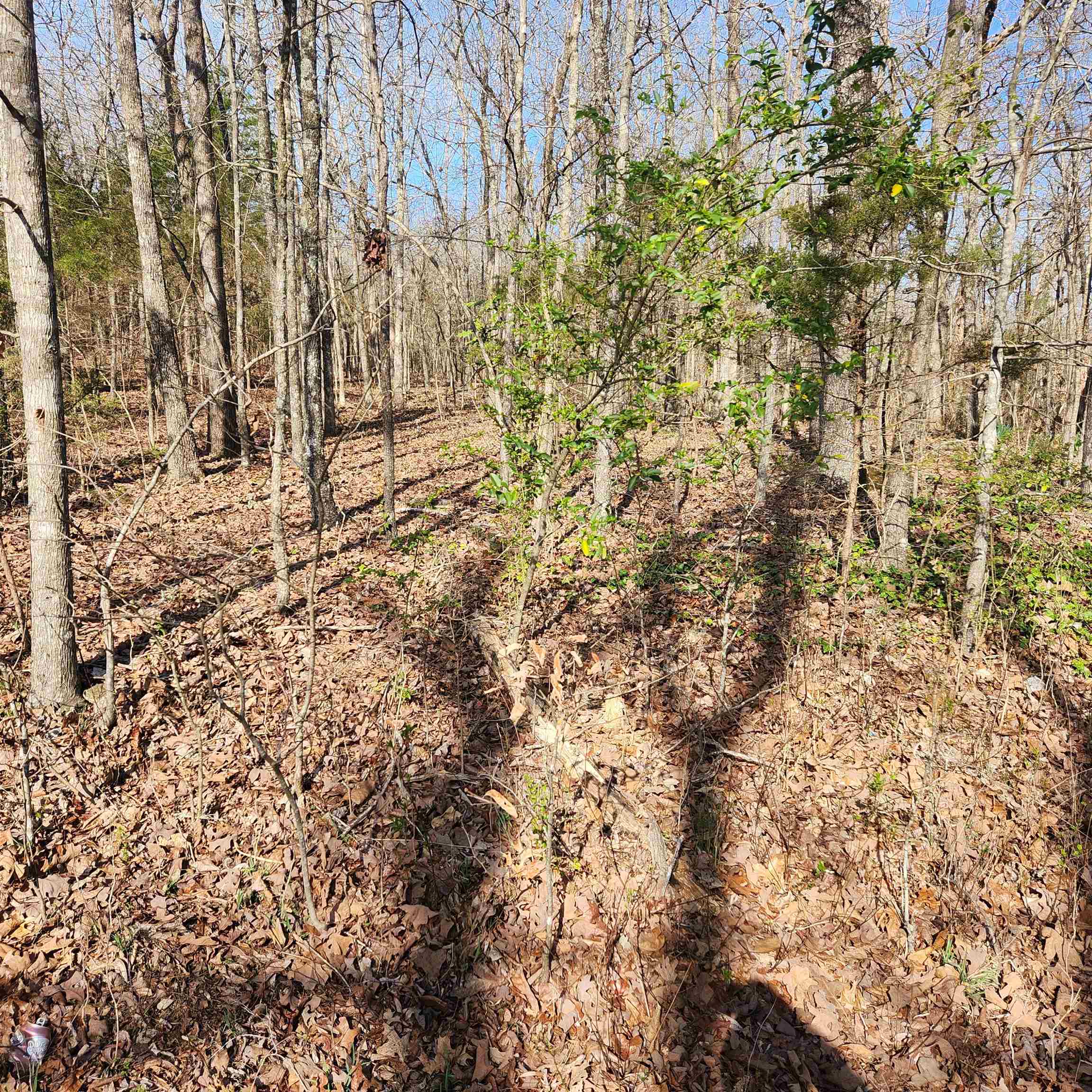 West Lake Estates 2nd - Land